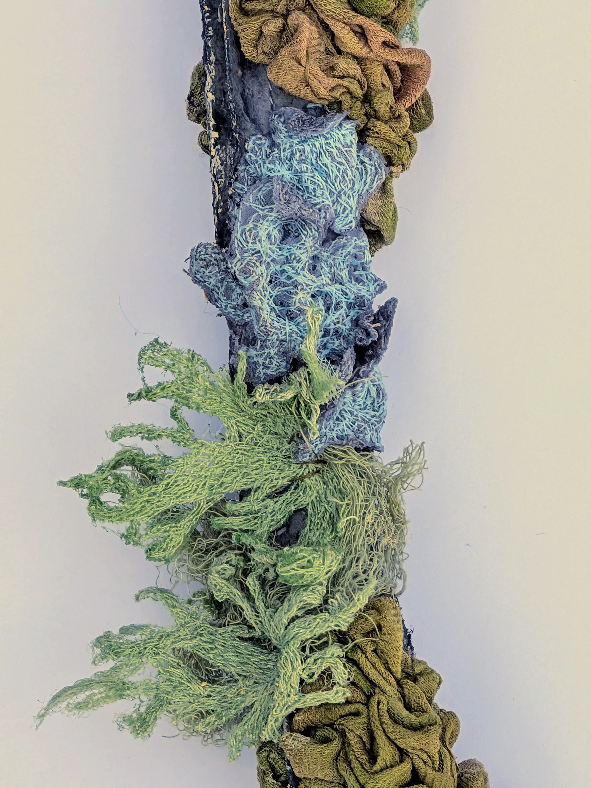 Exploring Lichen