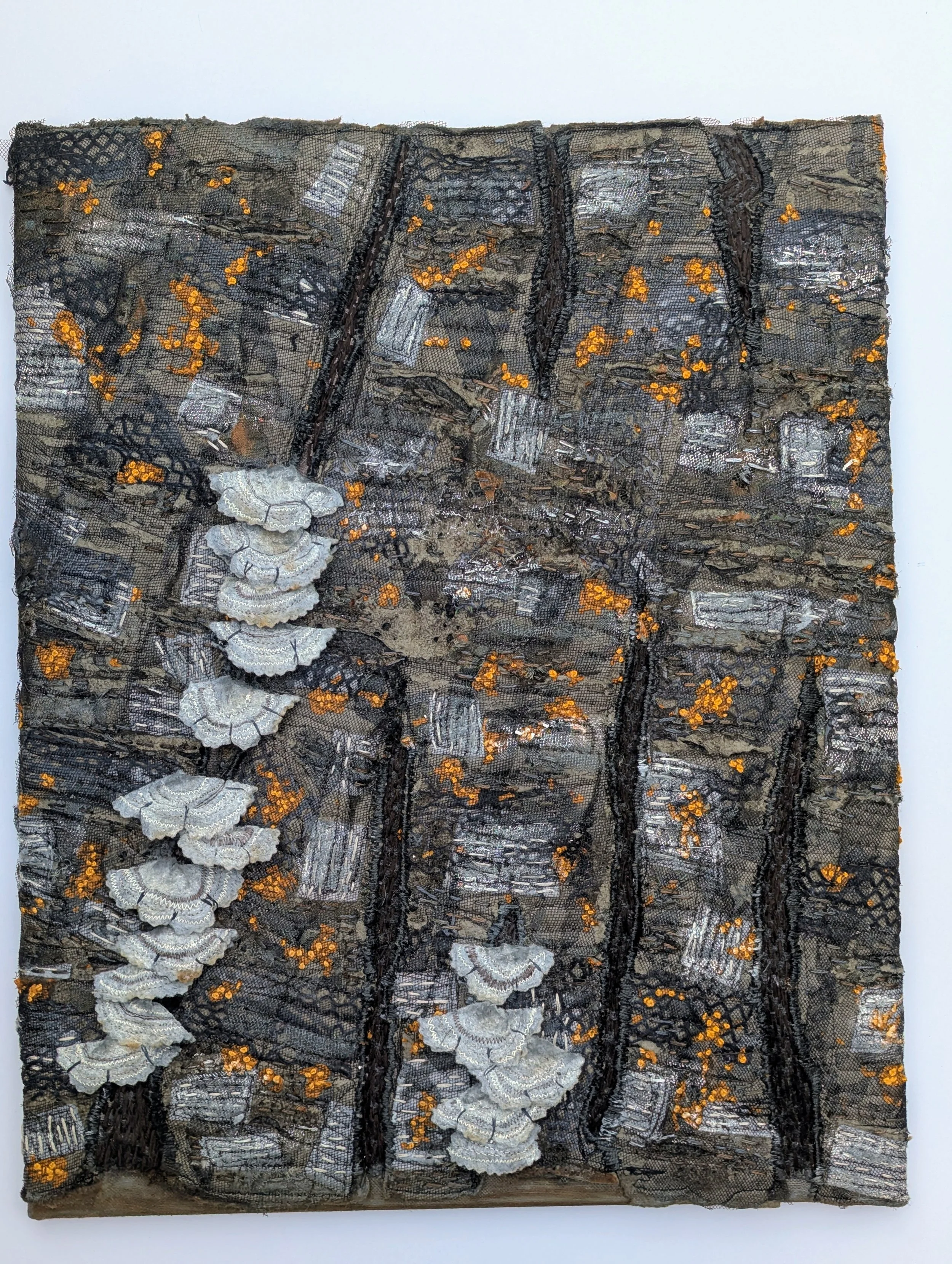 Fungi Micro-Climate