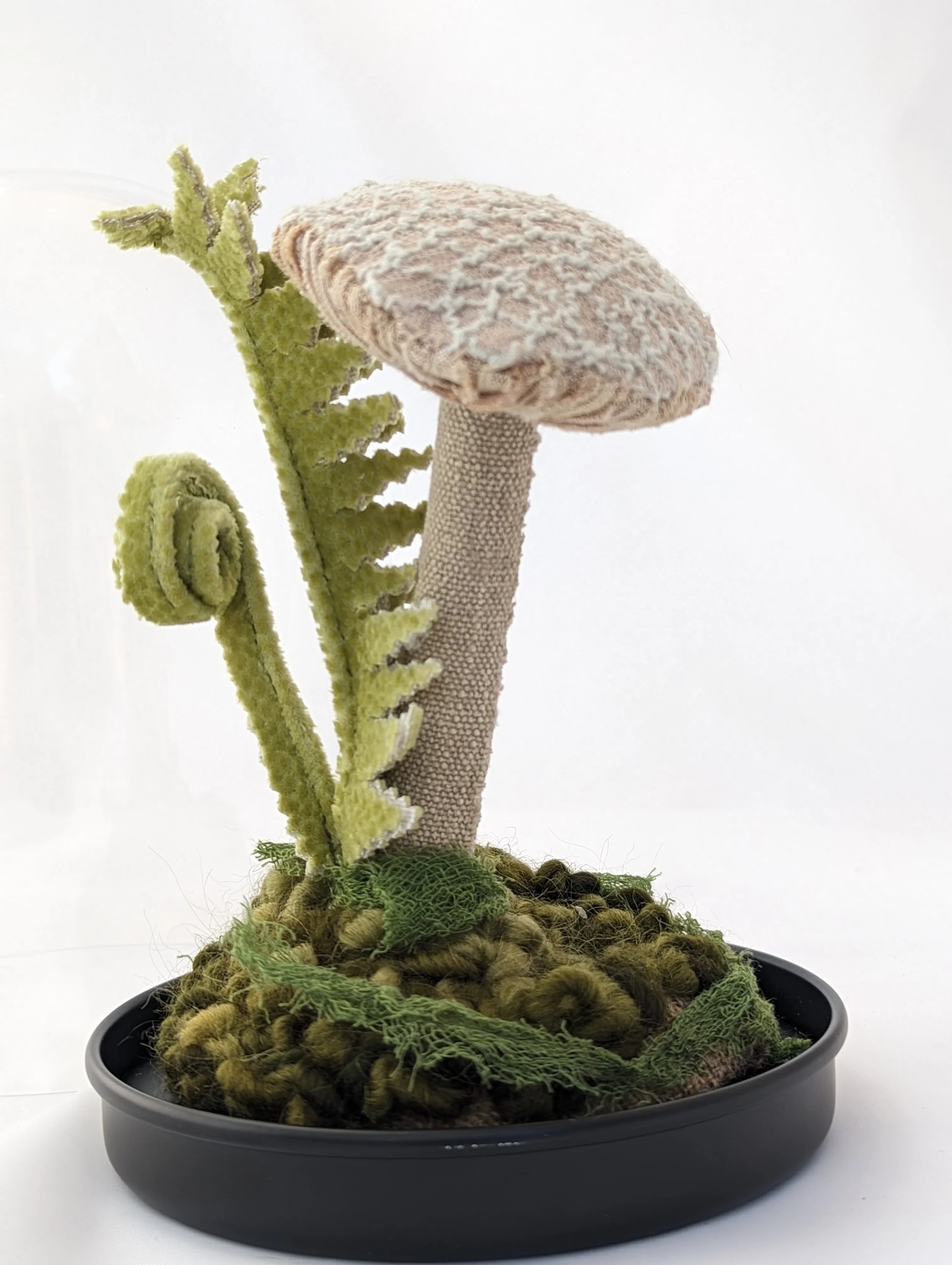 KTepe_ClassicMushroomTerrarium (2).jpg