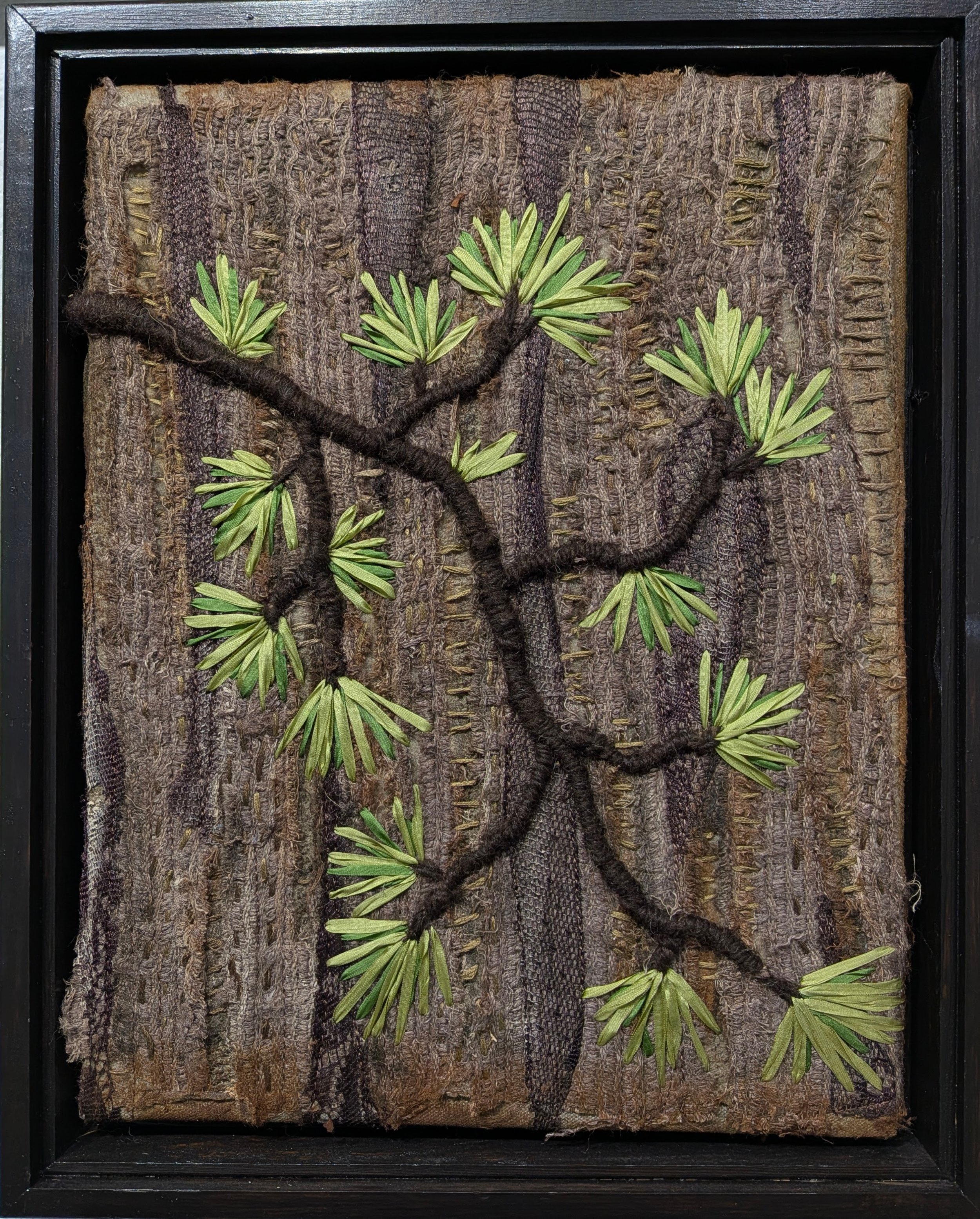 Pine