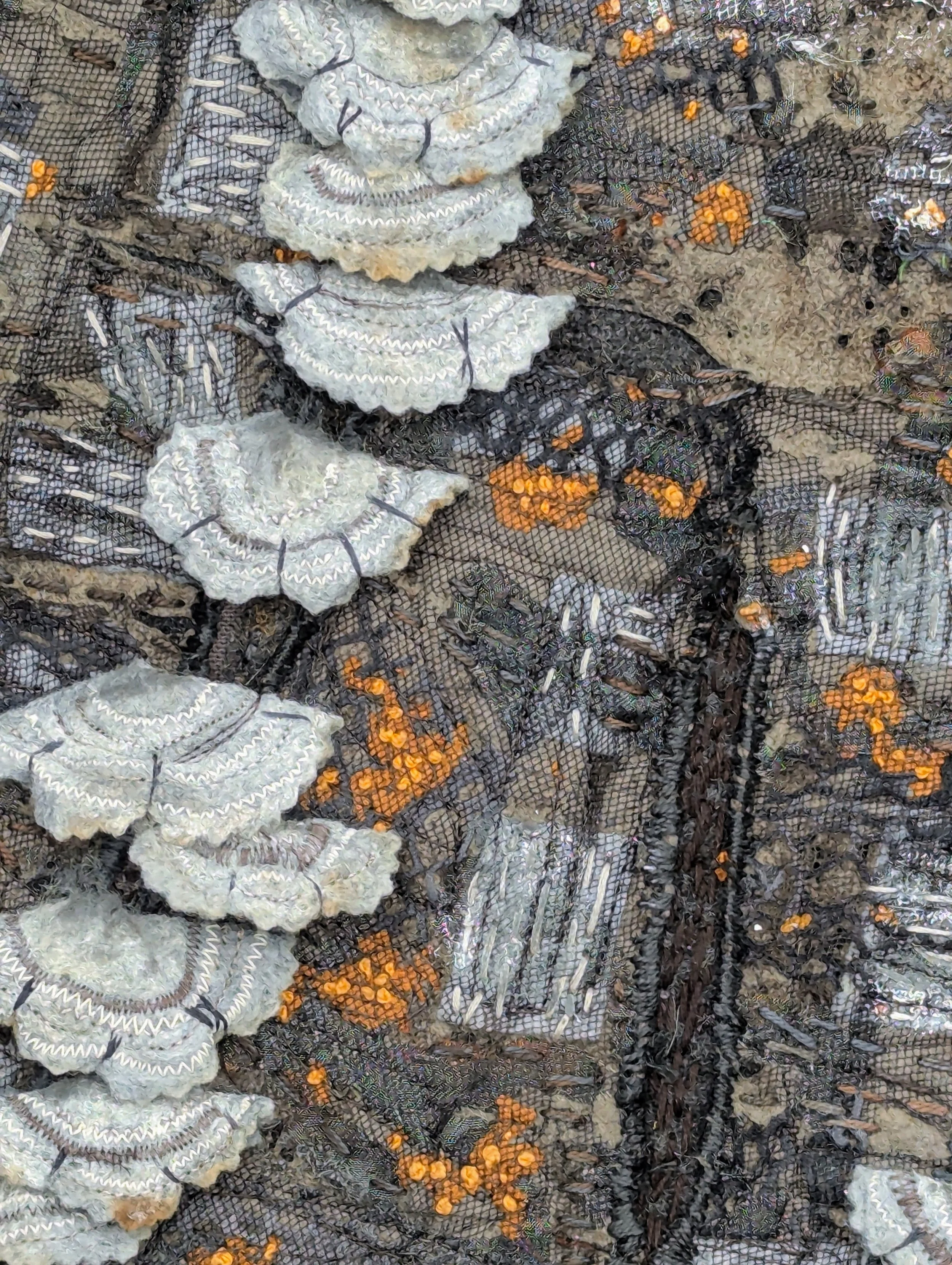 KTepe_ FungiMicroClimate (2).jpg