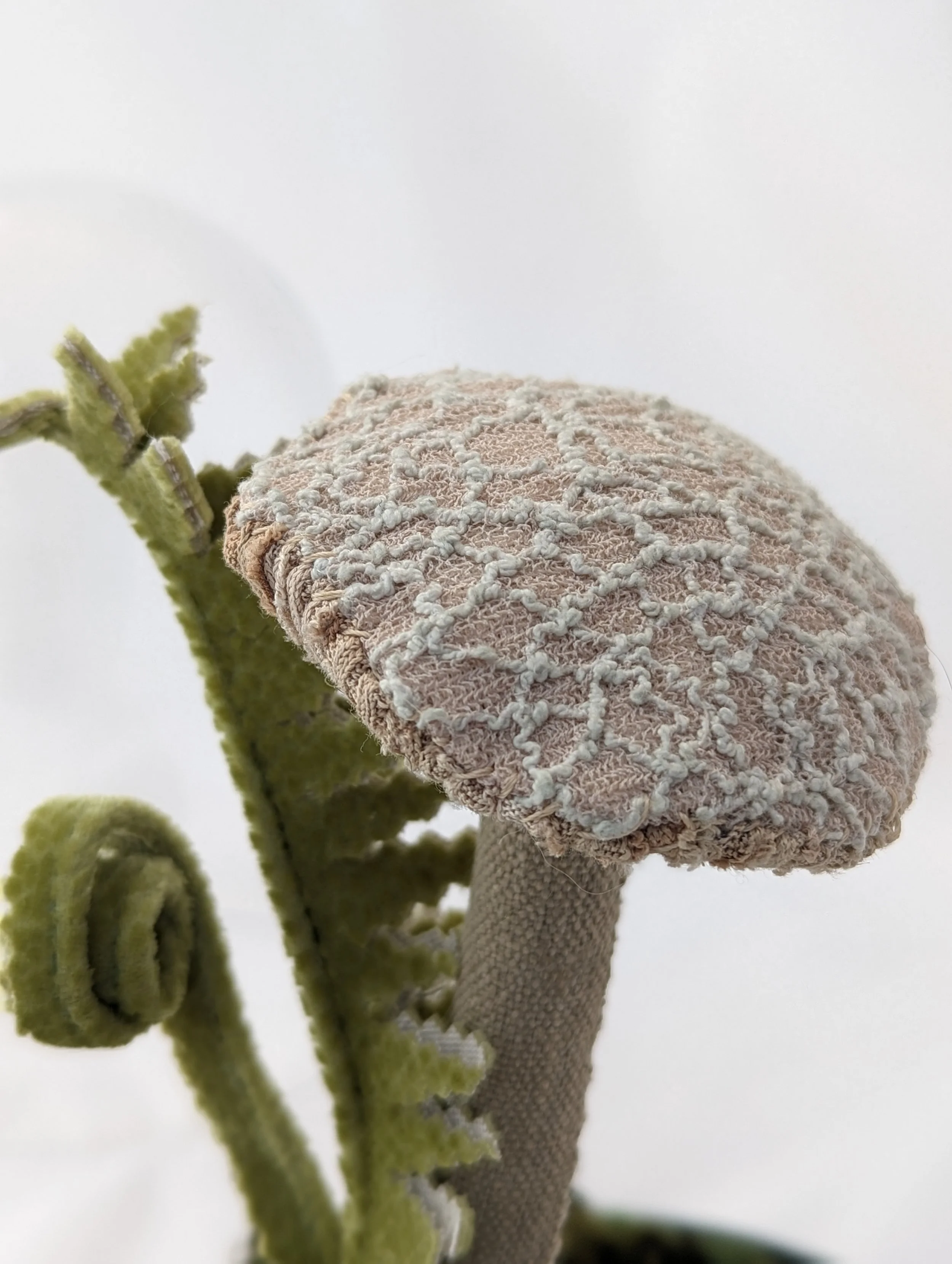 KTepe_ClassicMushroomTerrarium (4).jpg