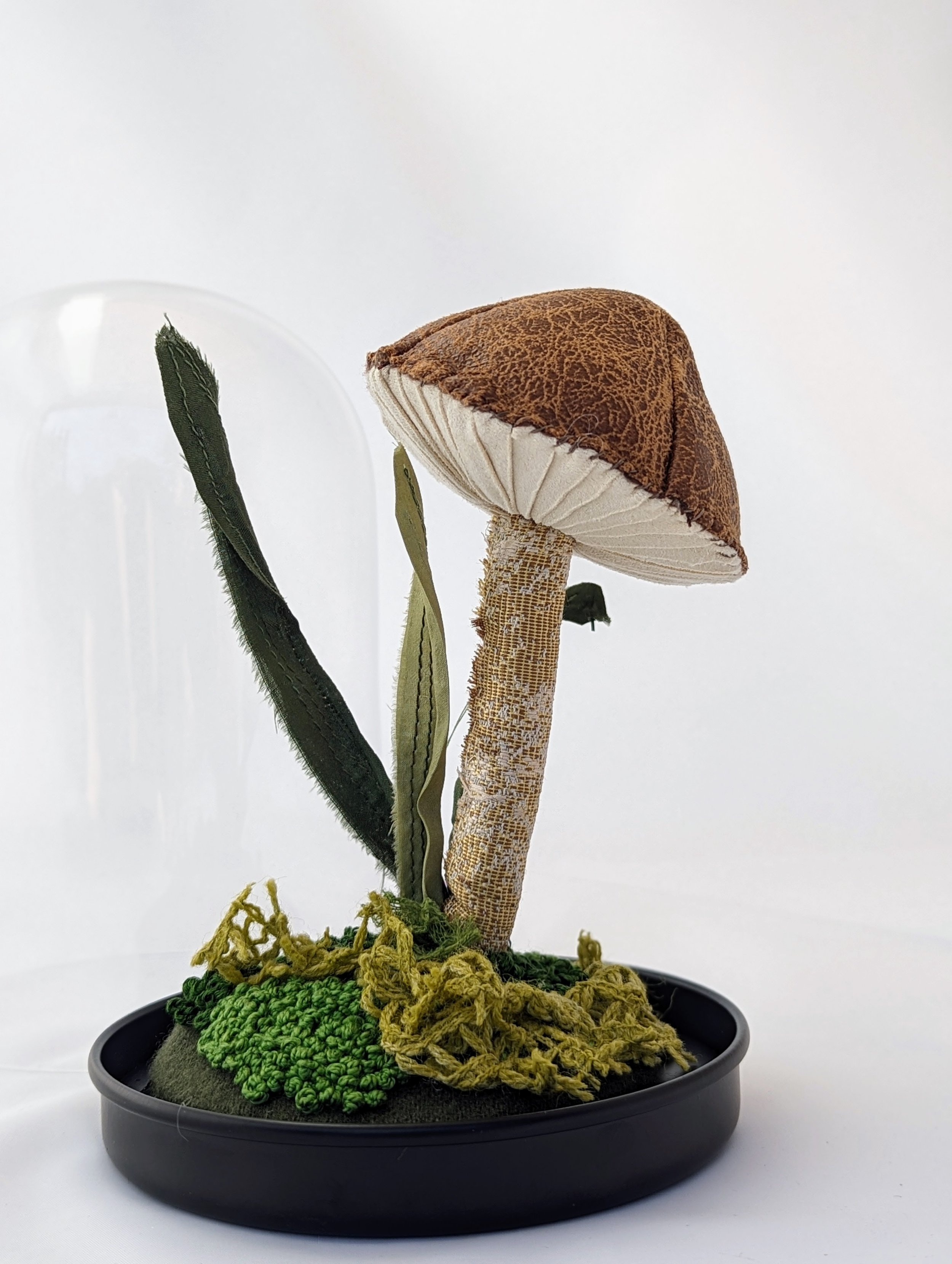Bella Mushroom Terrarium.jpg