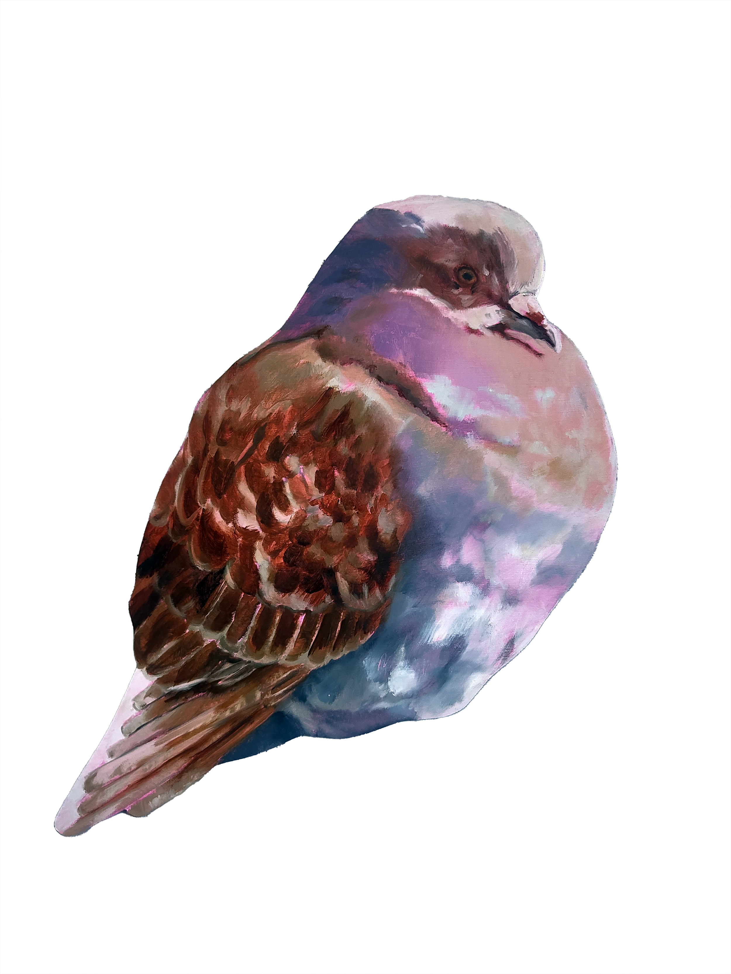 margret pigeon.png