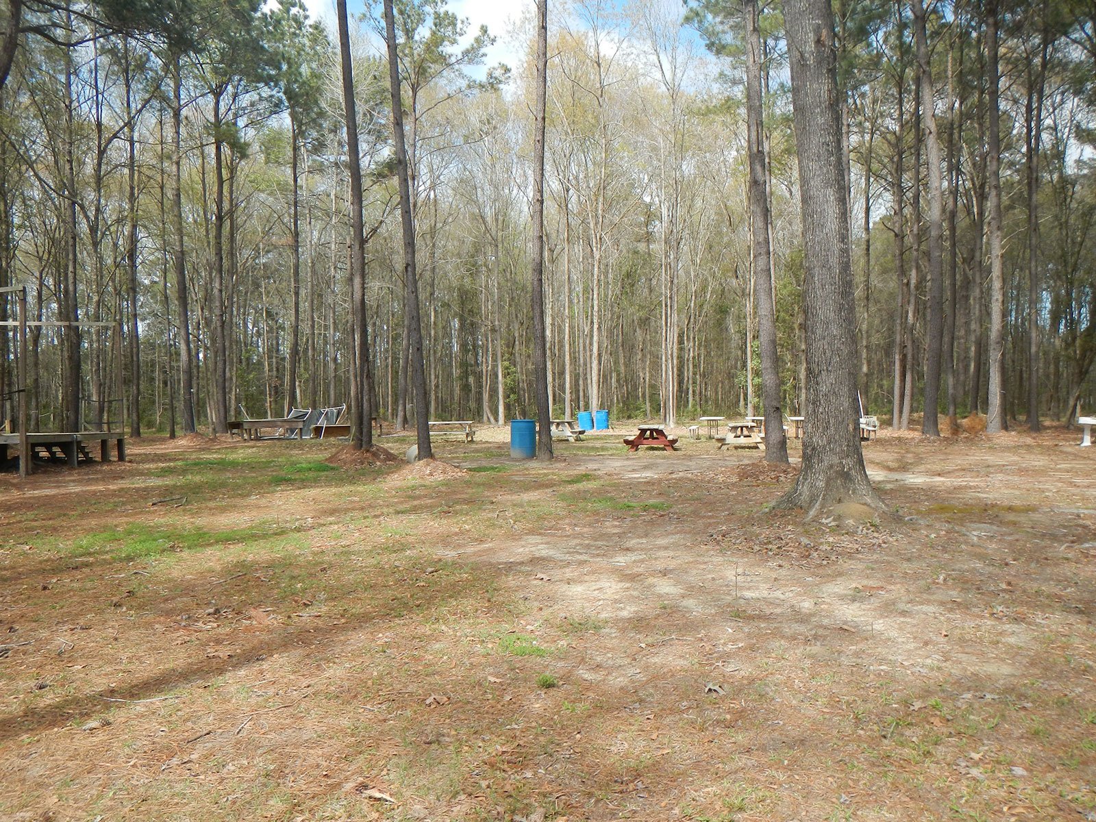Phillips Community Project 1.jpg