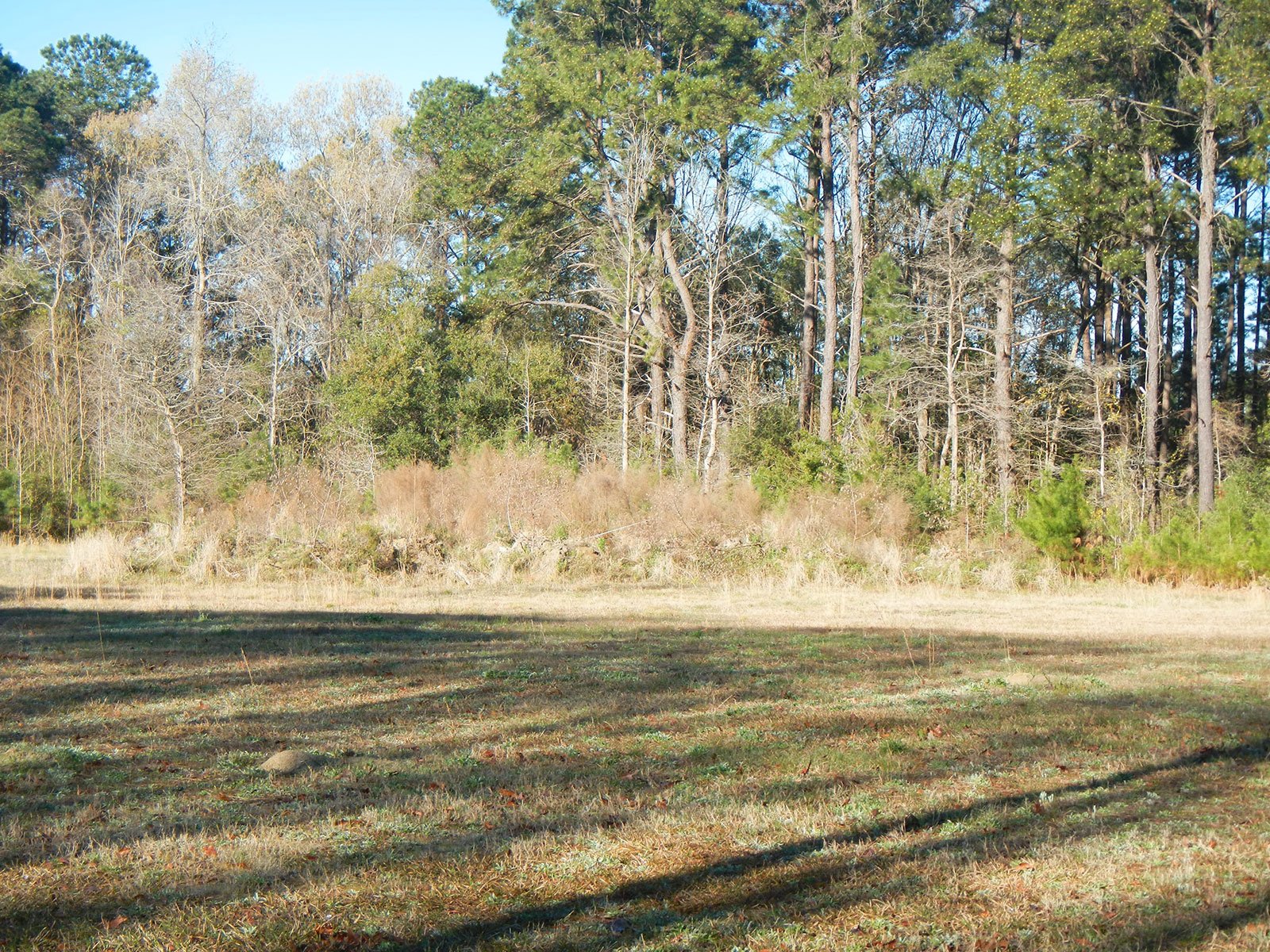 Phillips Community Project 2.jpg