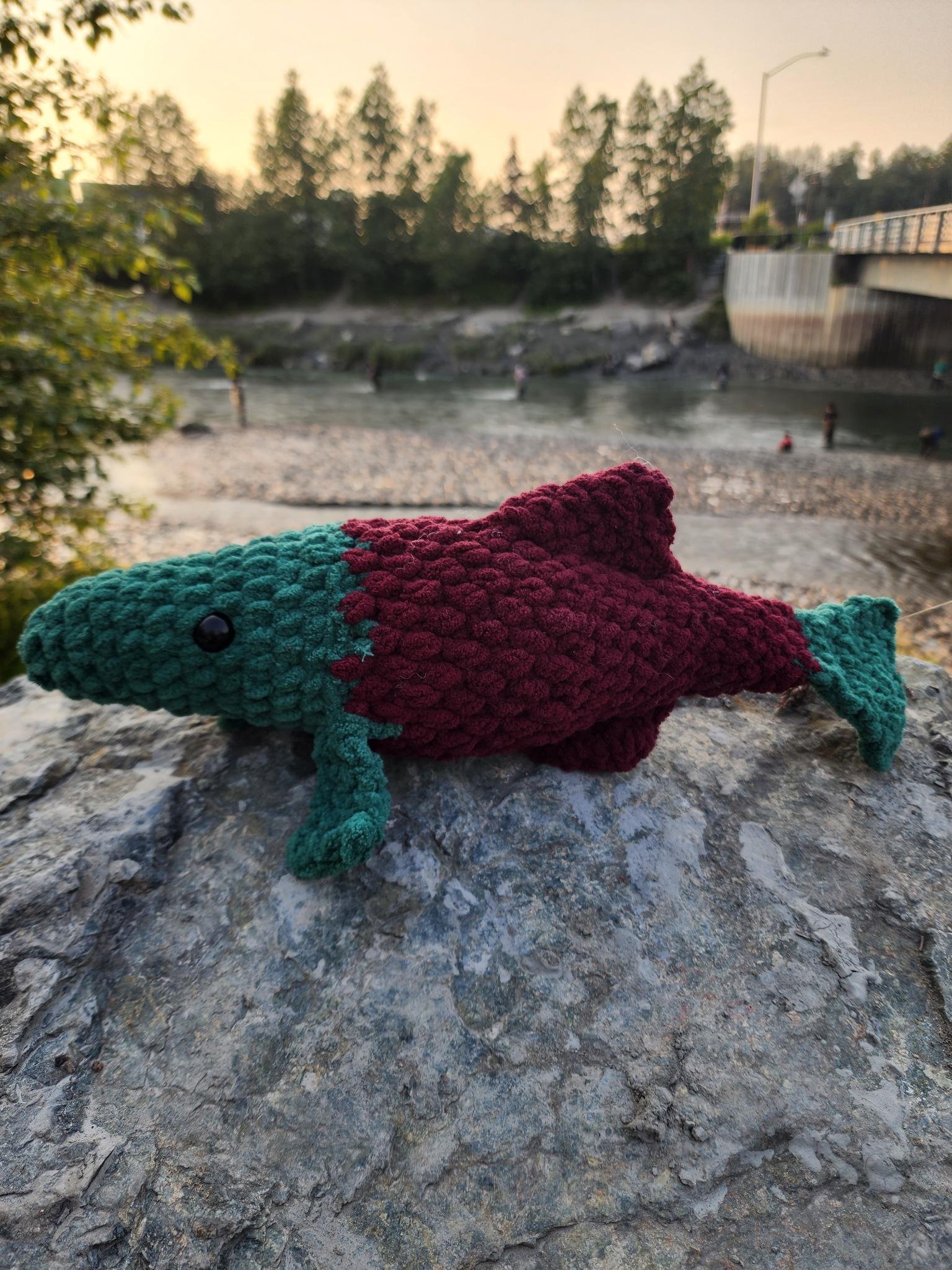sockeye color salmon.jpeg