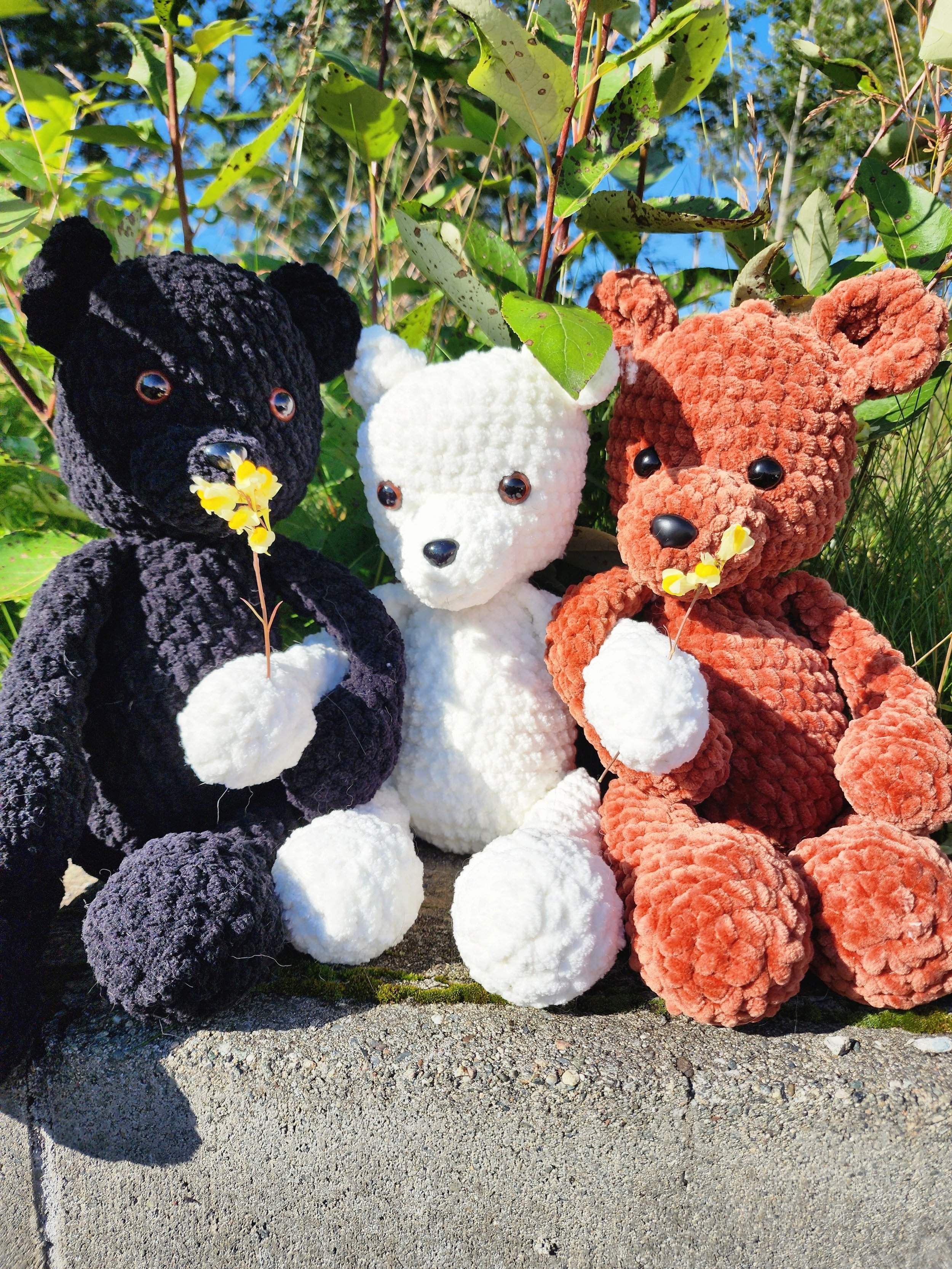 1000002249_7c33ca3e6e3794bbcc180d0ef8f4ea9f-7_30_2023, 6_20_58 PM.jpg