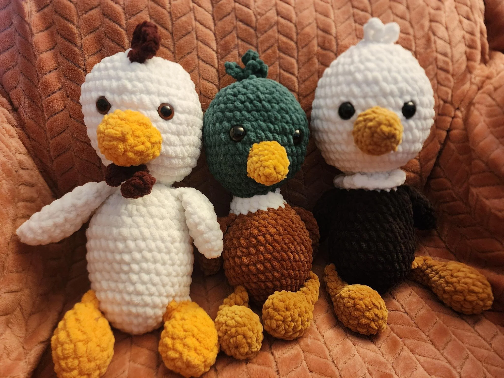 chicken mallard eagle facing forward.jpeg