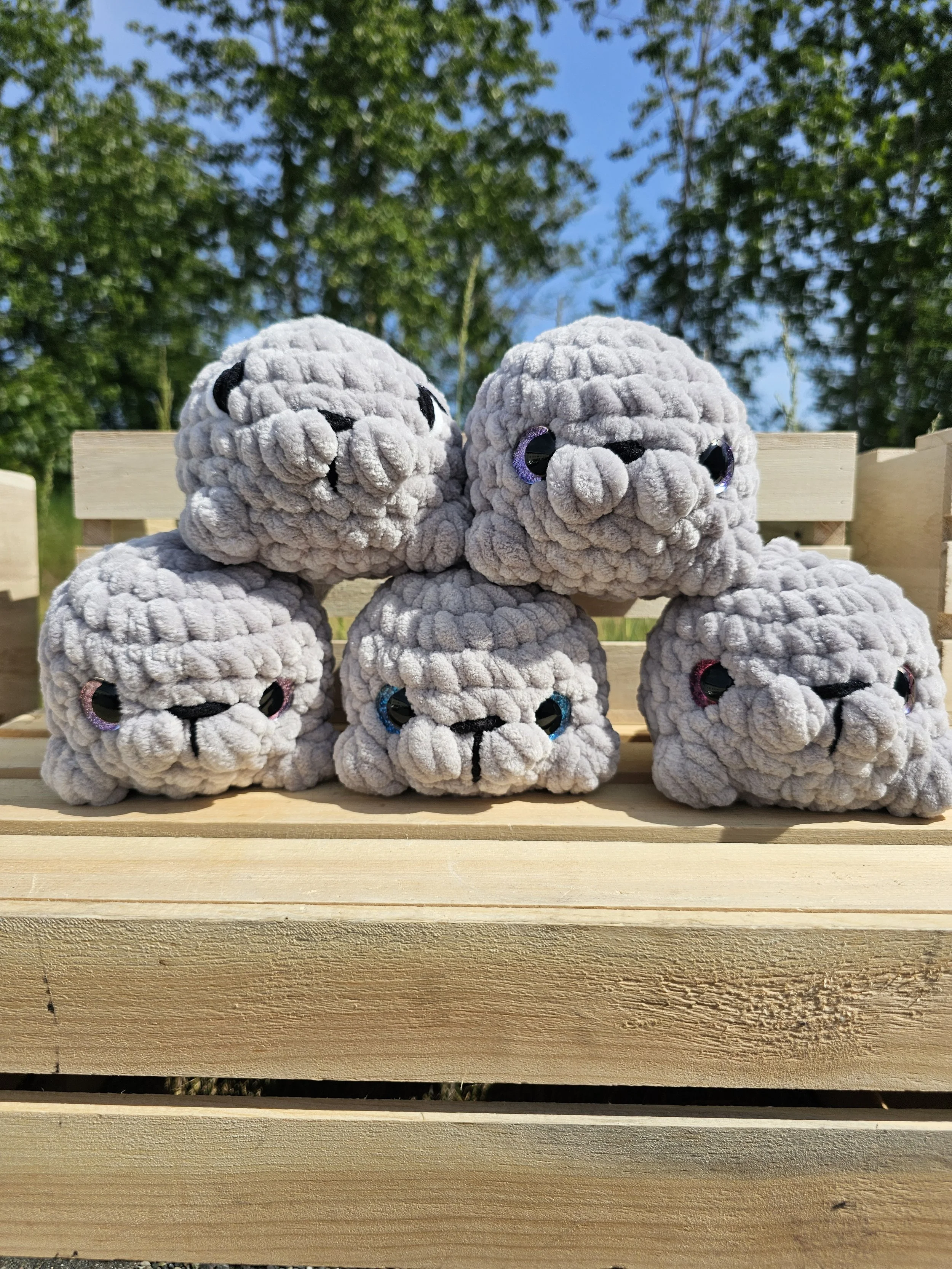 Small Seal
