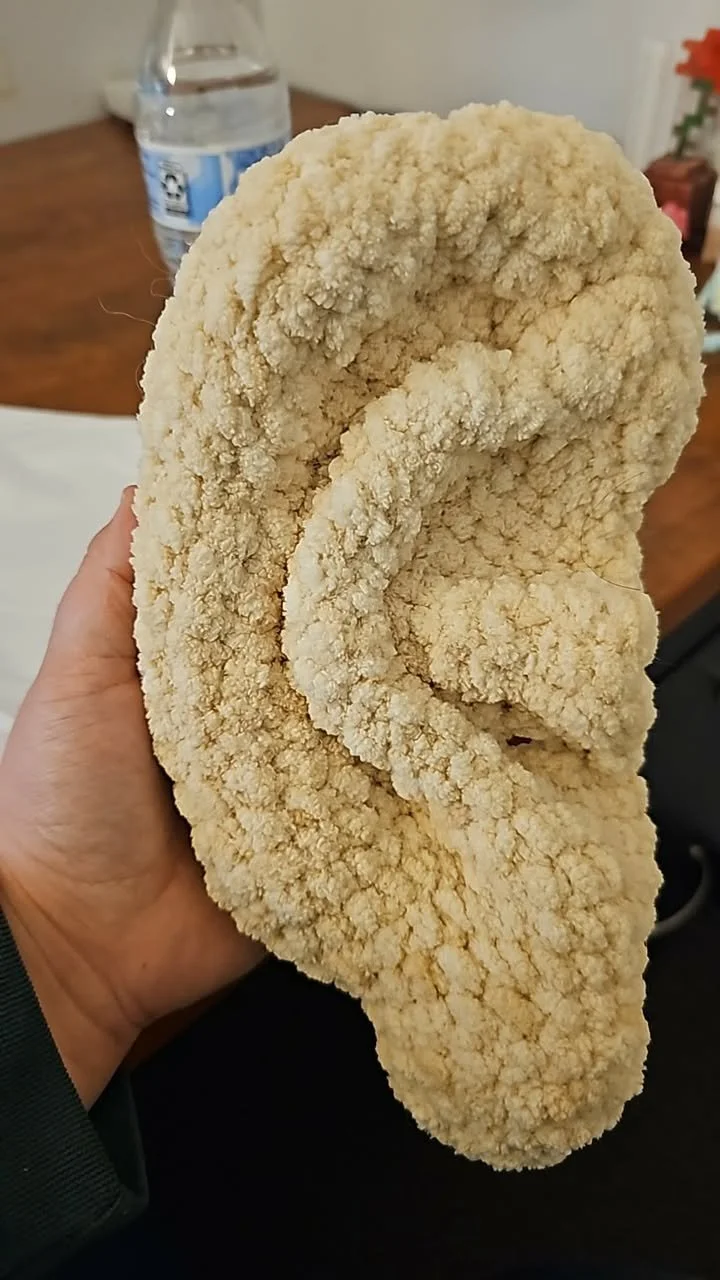 ear.jpg