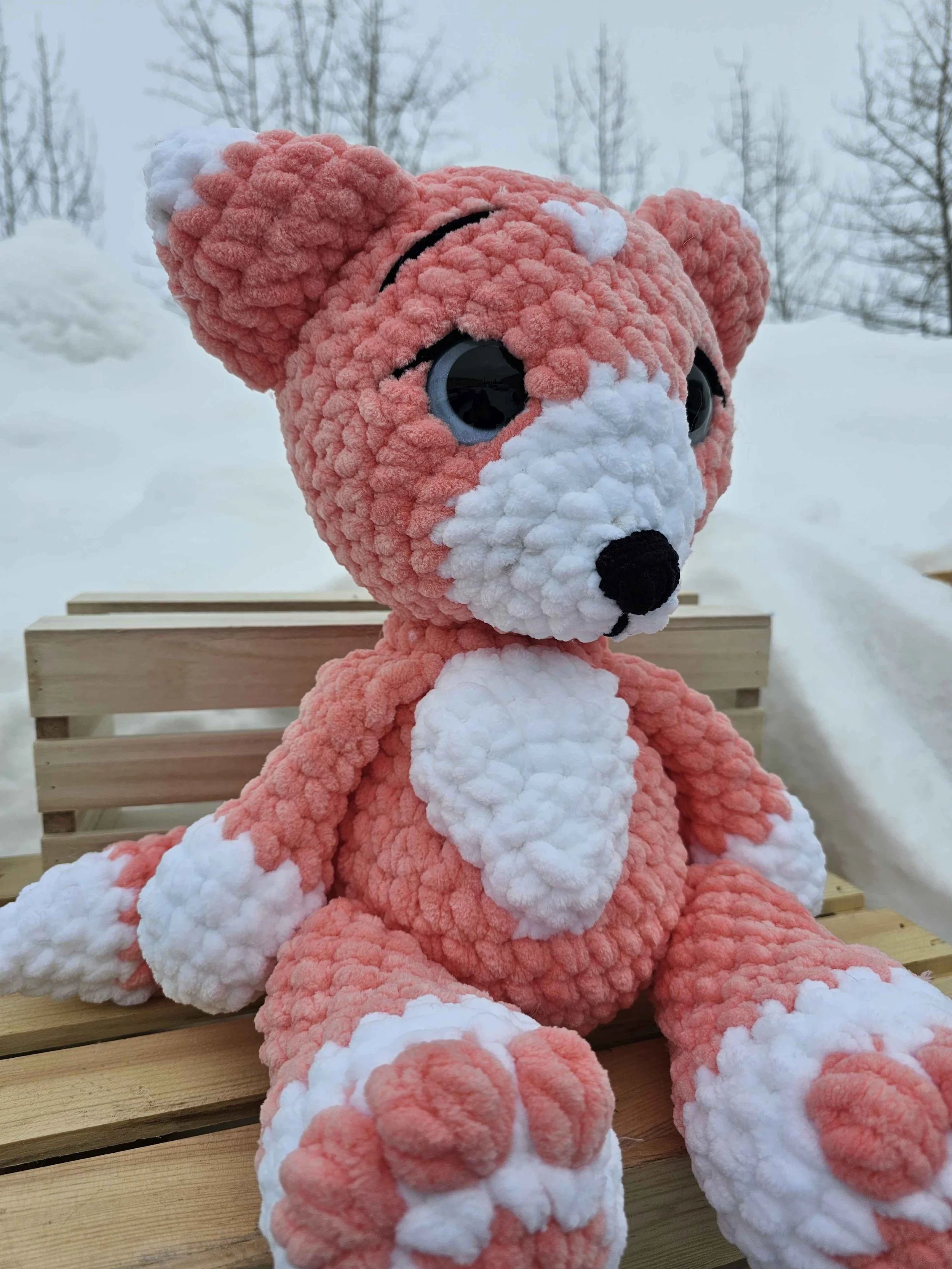 orange fox 2.jpg (Copy)