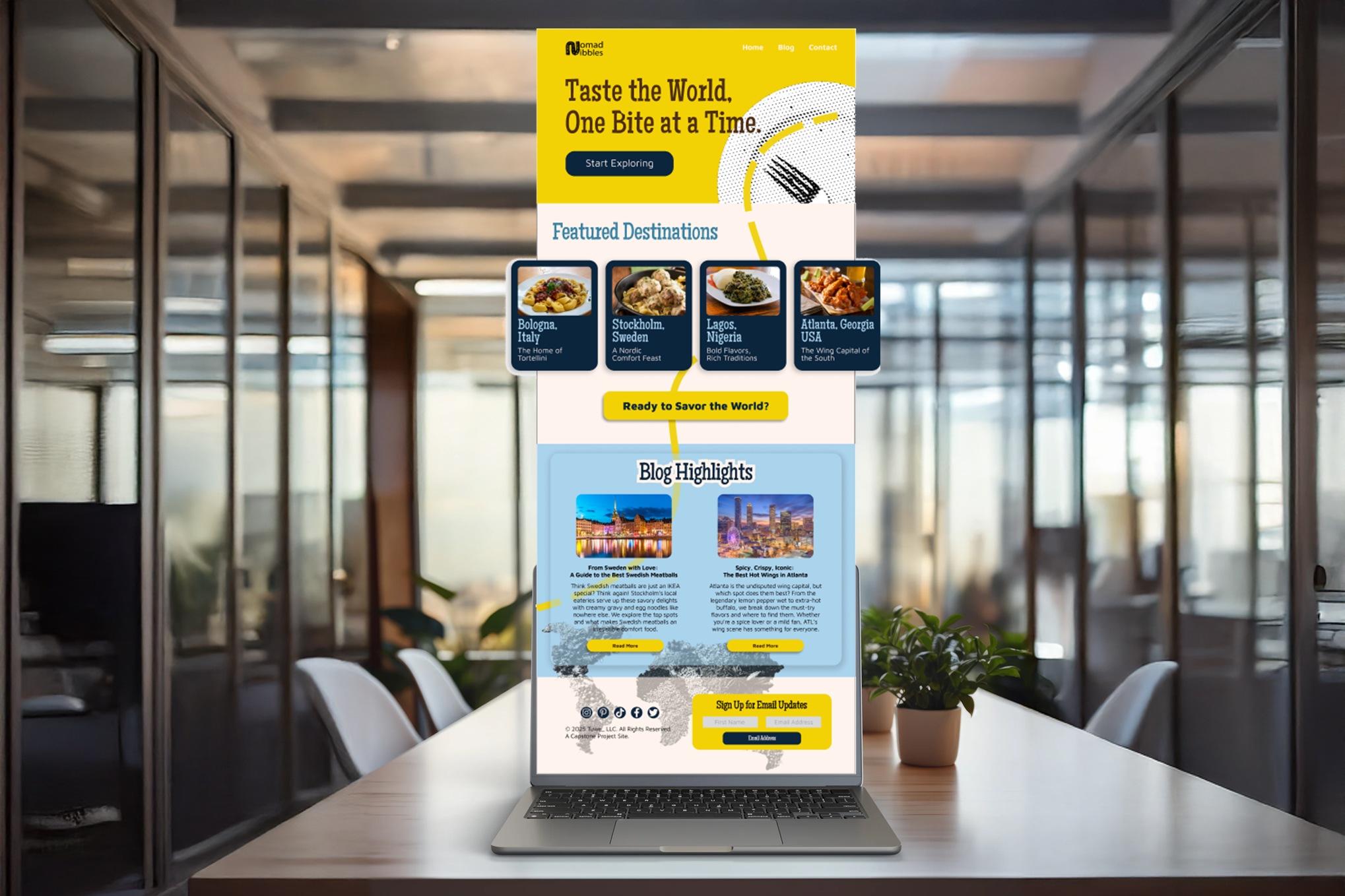 Website Design Consultation