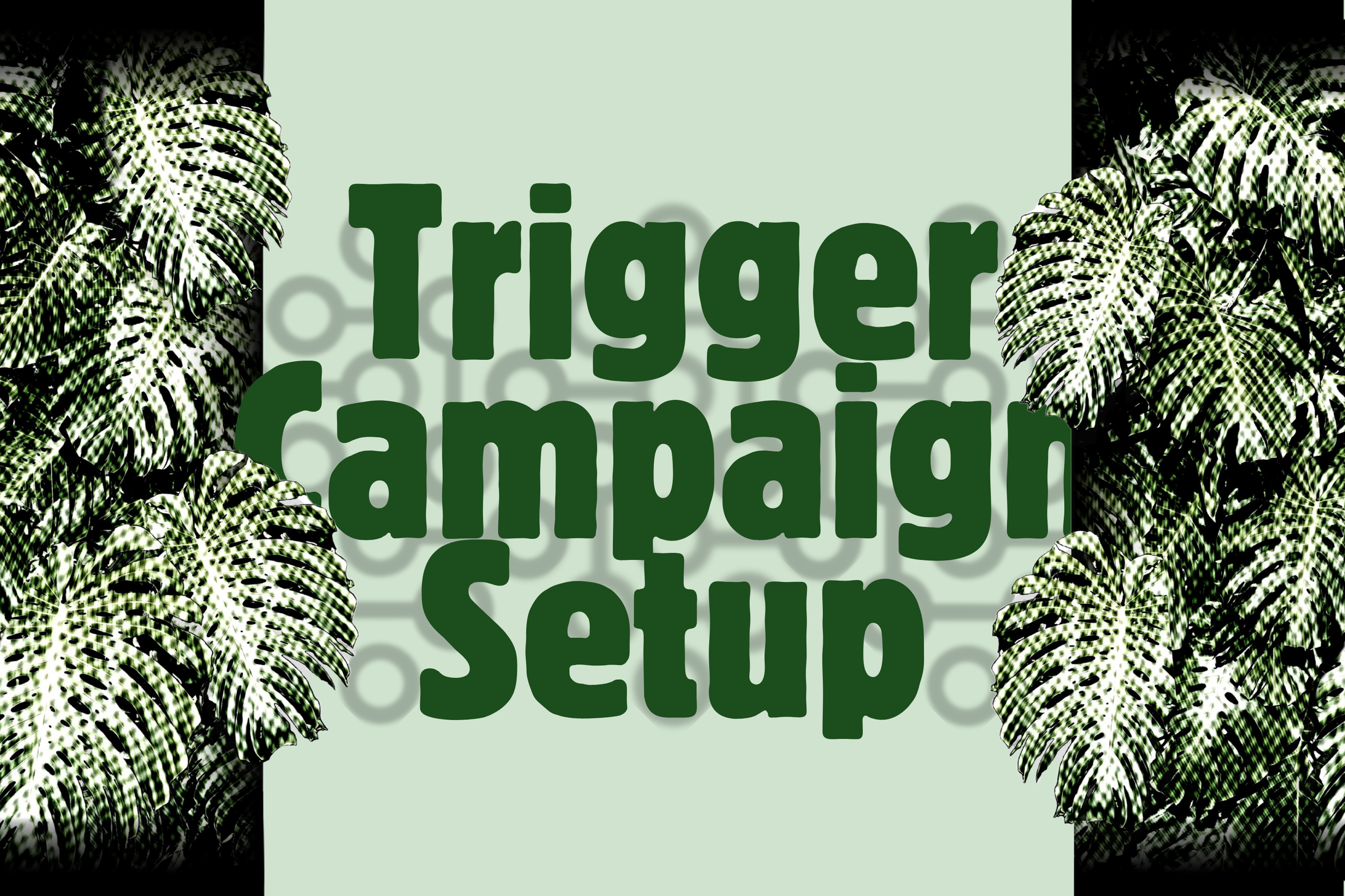 Trigger Campaign Setup