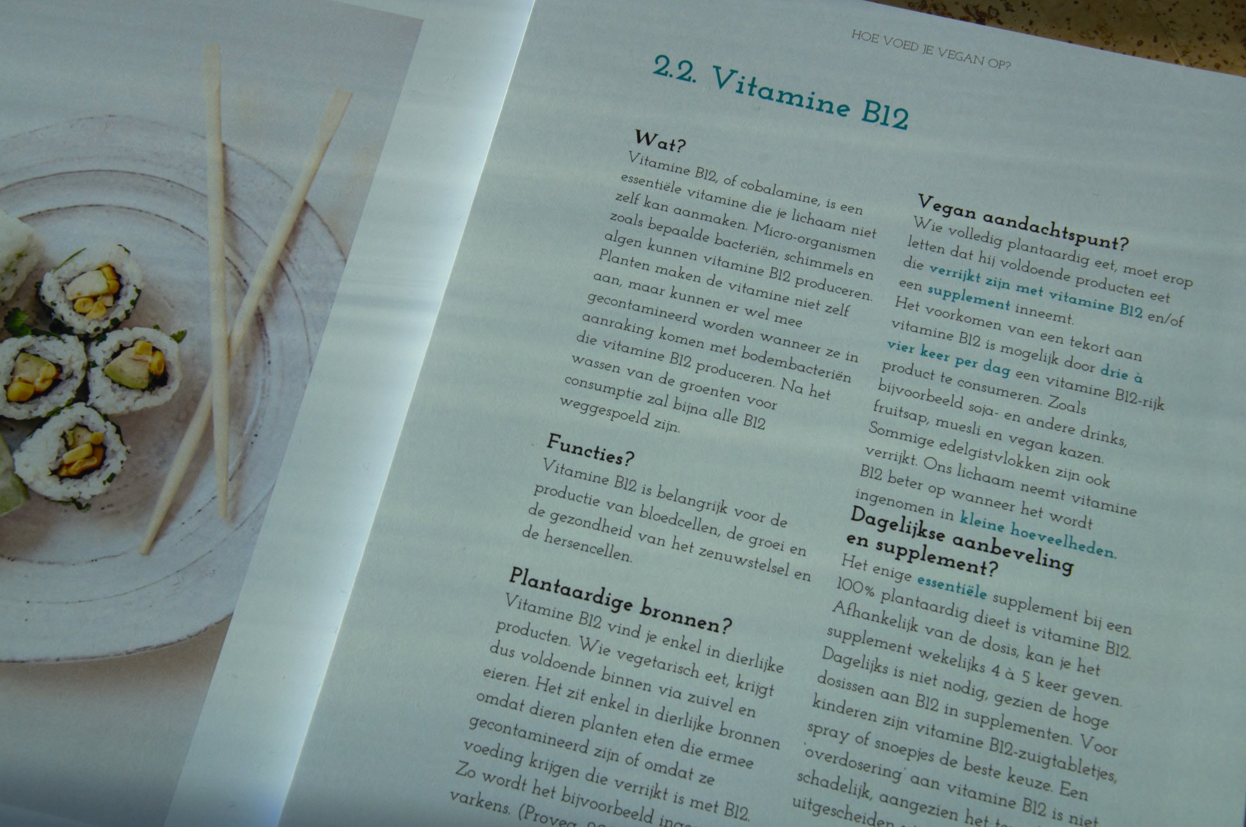 b12 boek.jpg