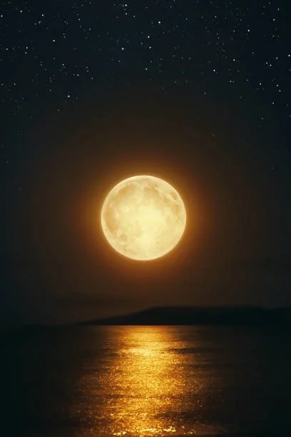 The Season of Becoming   