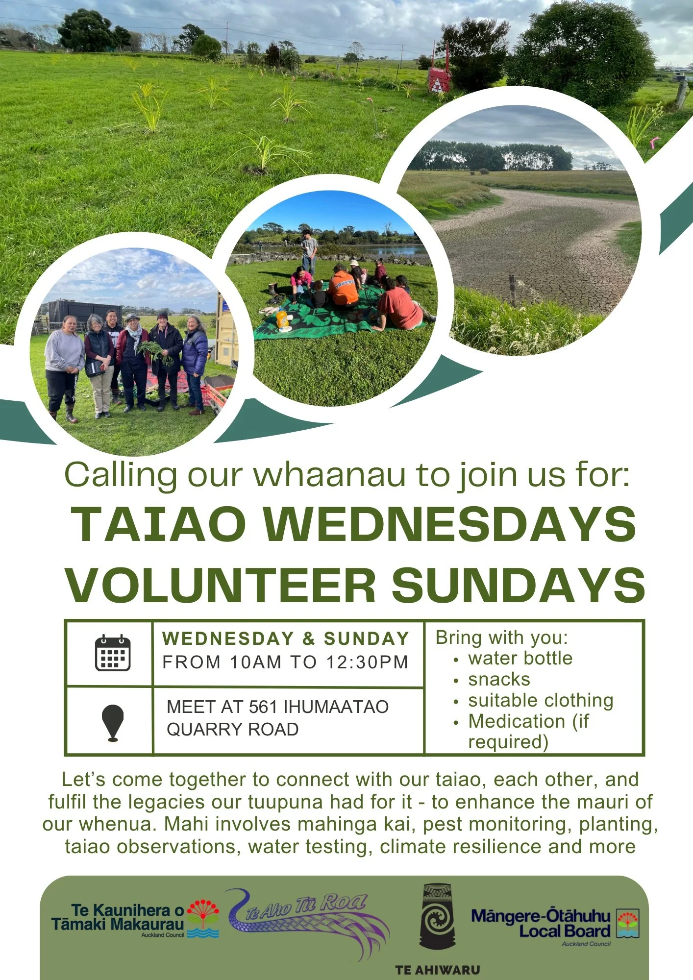 Taiao Wednesdays - Volunteer Sundays
