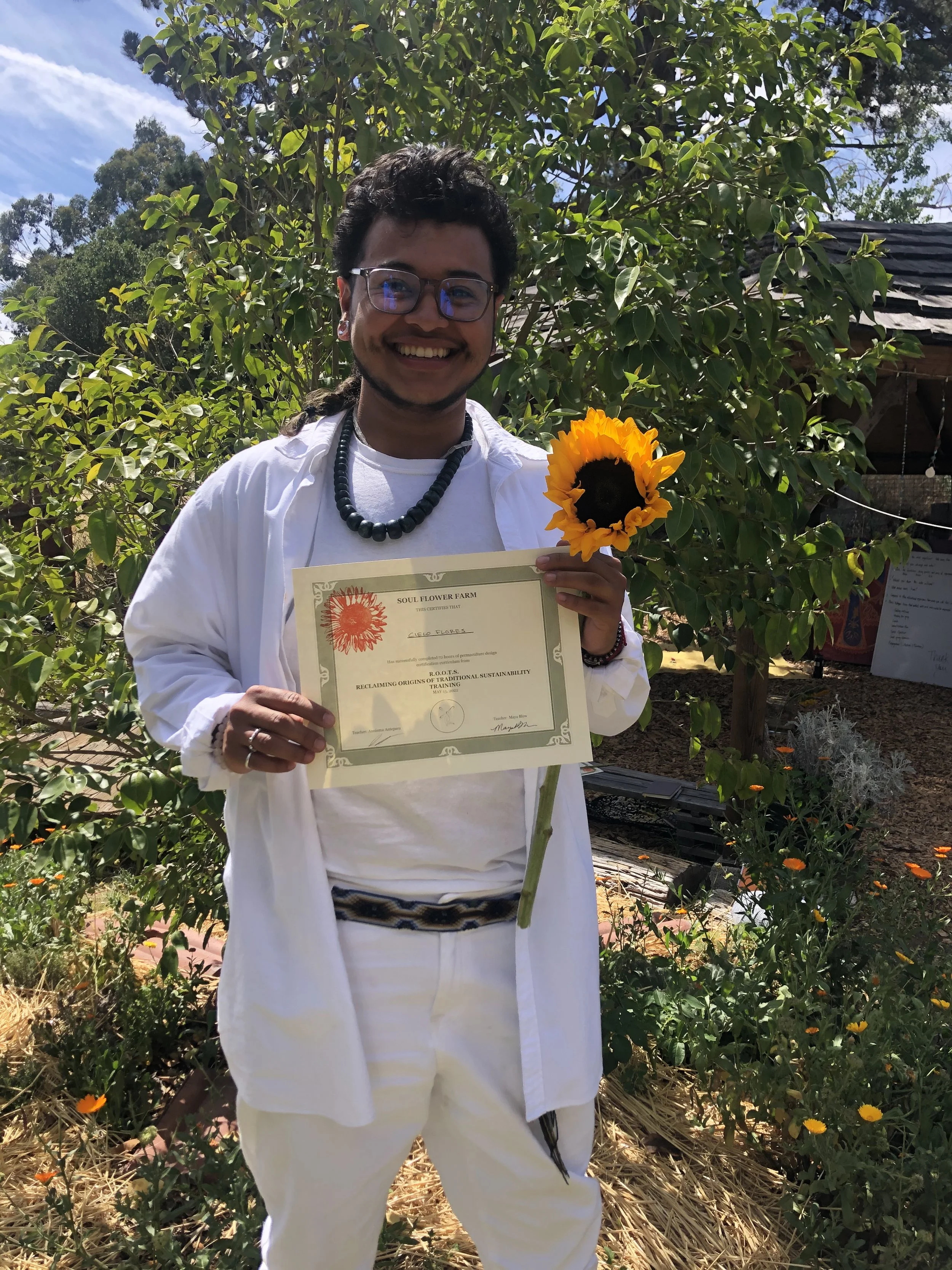 roots 2022 cielo.jpg