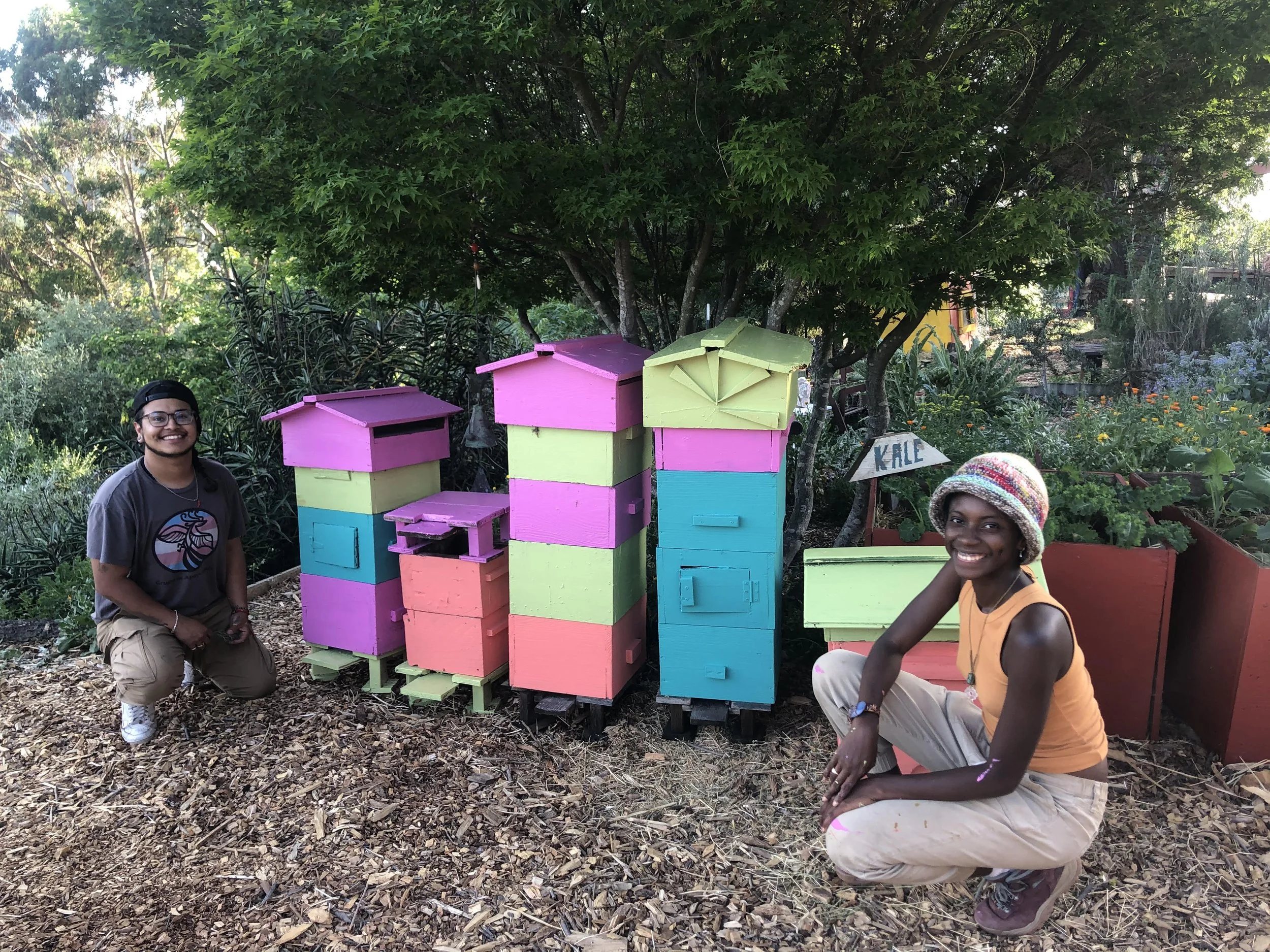 soul flower farm warre hives.jpg