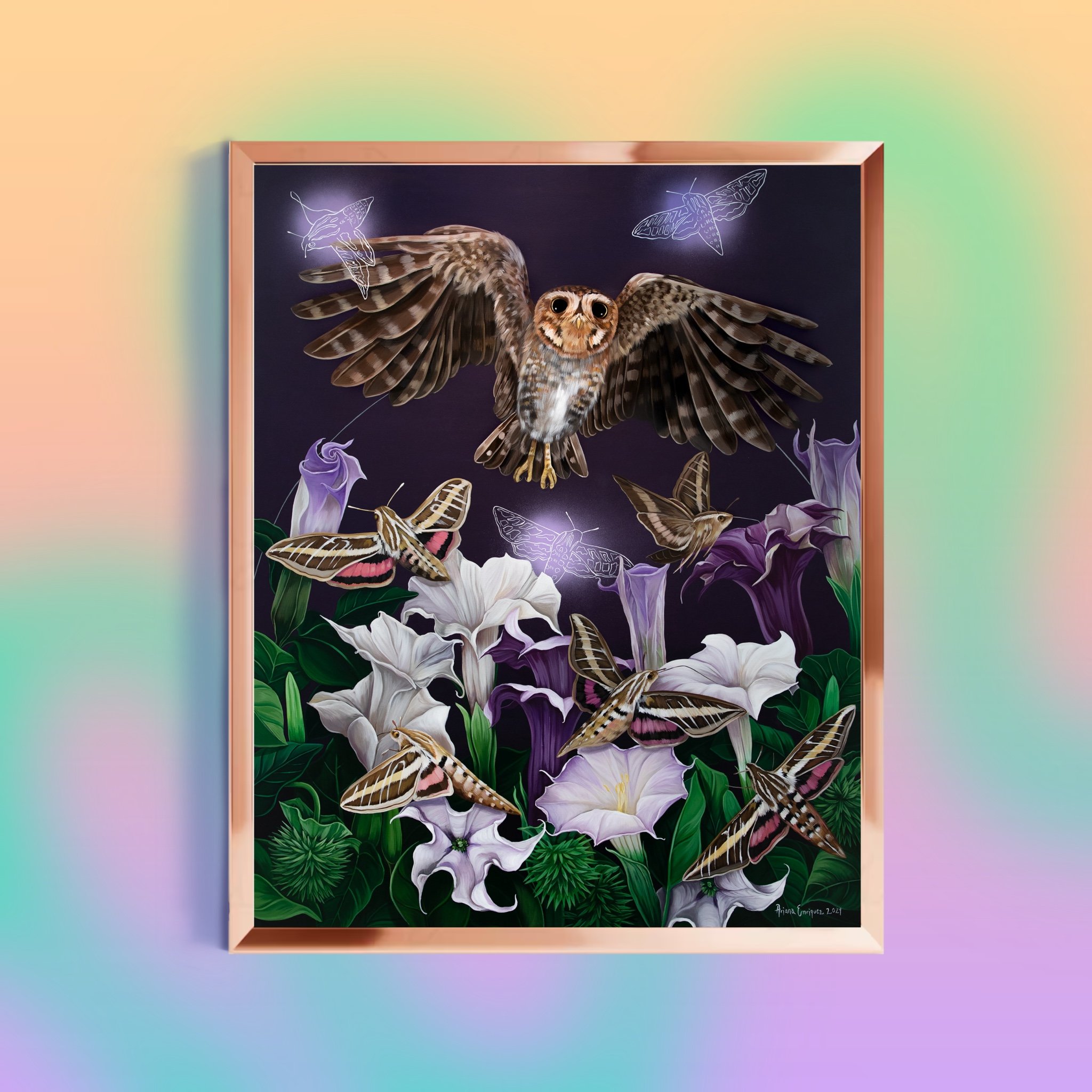 Belladonna Frame.jpg