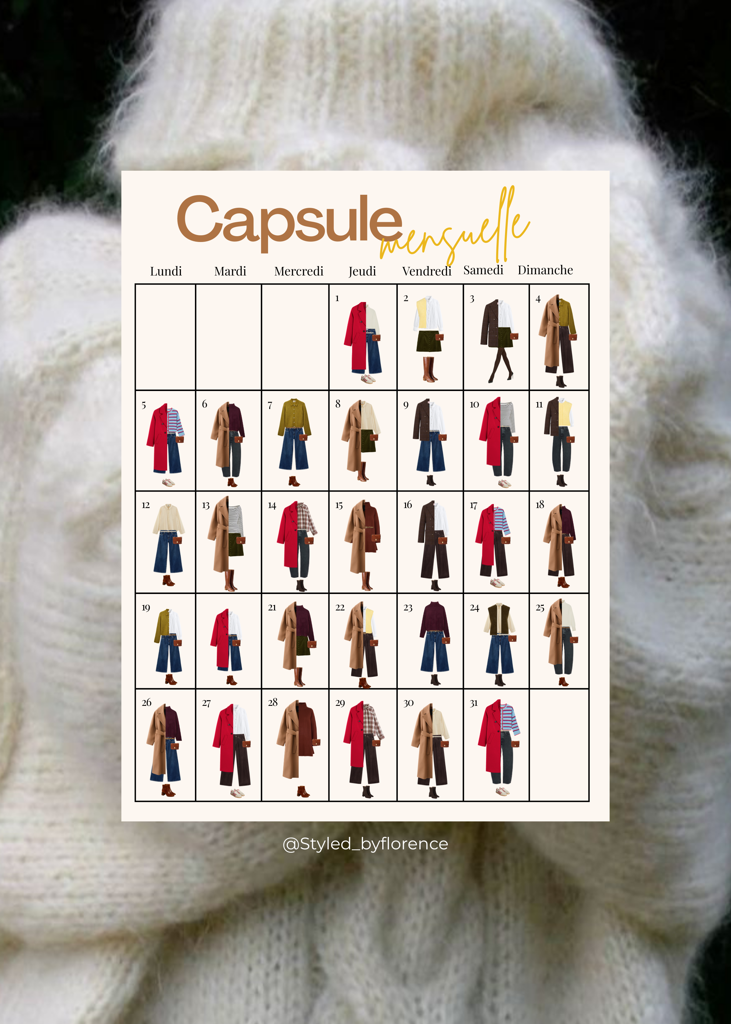 Capsule Mensuelle - JANVIER 2026