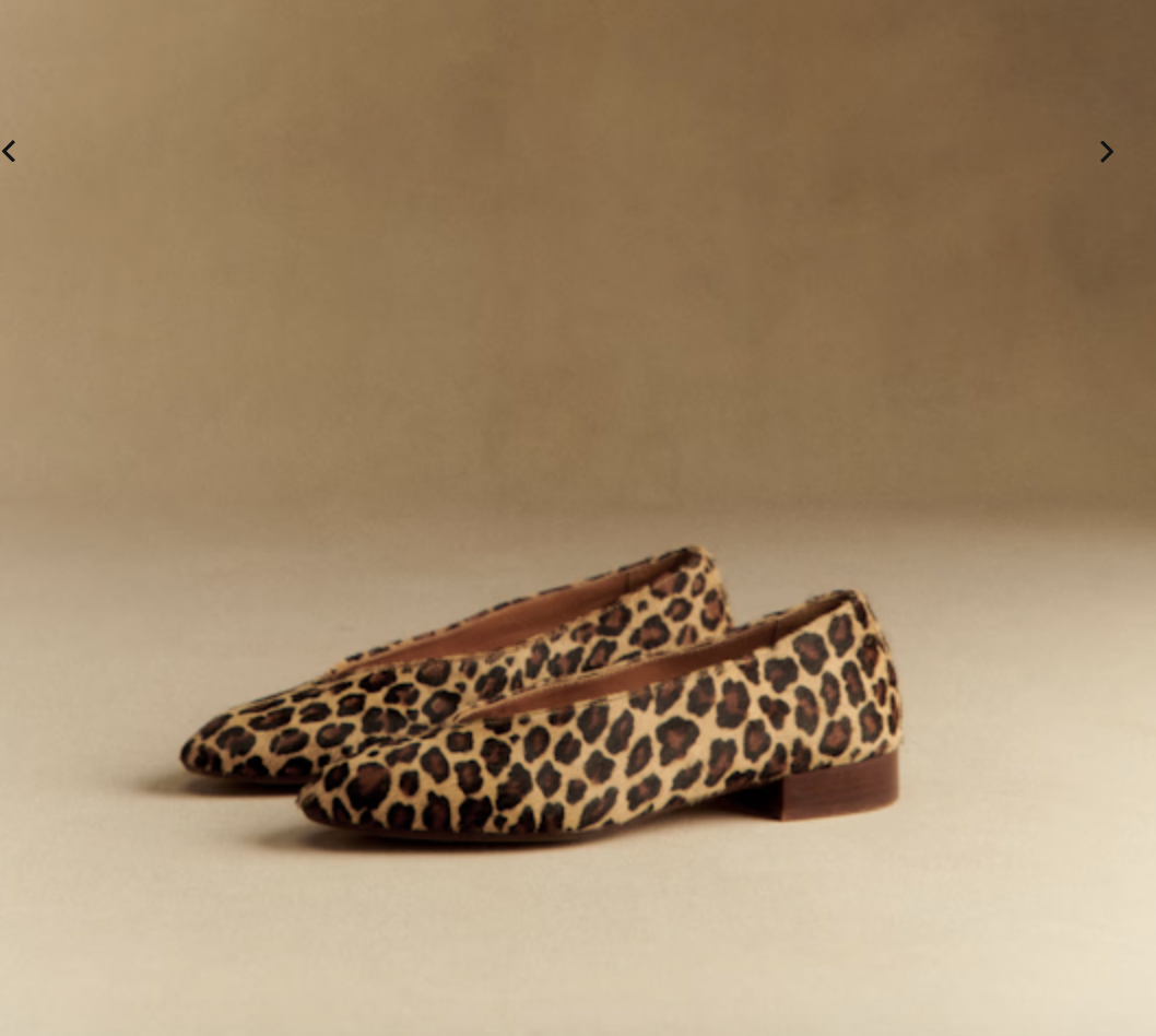 Capture d’écran 2026-03-30 à 11.27.15.png