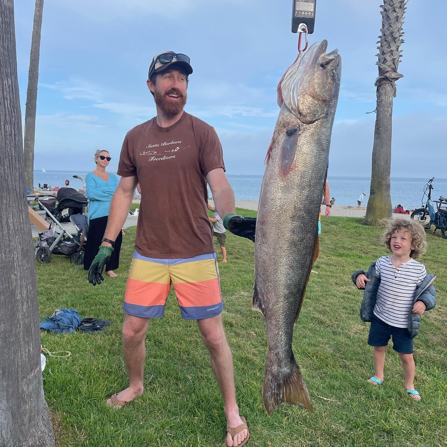 Congrats to Adam Sachs winners this year&rsquo;s Santa Barbara freedivers club competition with an astounding 46.7lb White Sea bass.  Winning him a Rob Allen 90 cm, the work horse of spearguns! 
 
Todd Henderson White Sea bass came in at 32 pounds, f