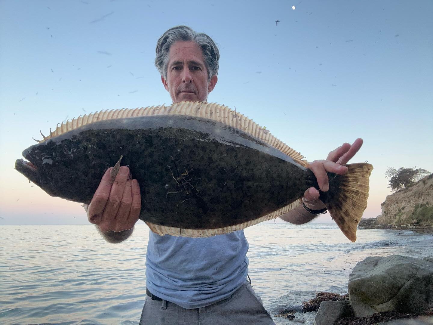 Bwh patron Matt recently caught this halibut using @luckycraftsw. It was also the #grunionrun, which makes shore fishing especially productive.  Mark your calendar!