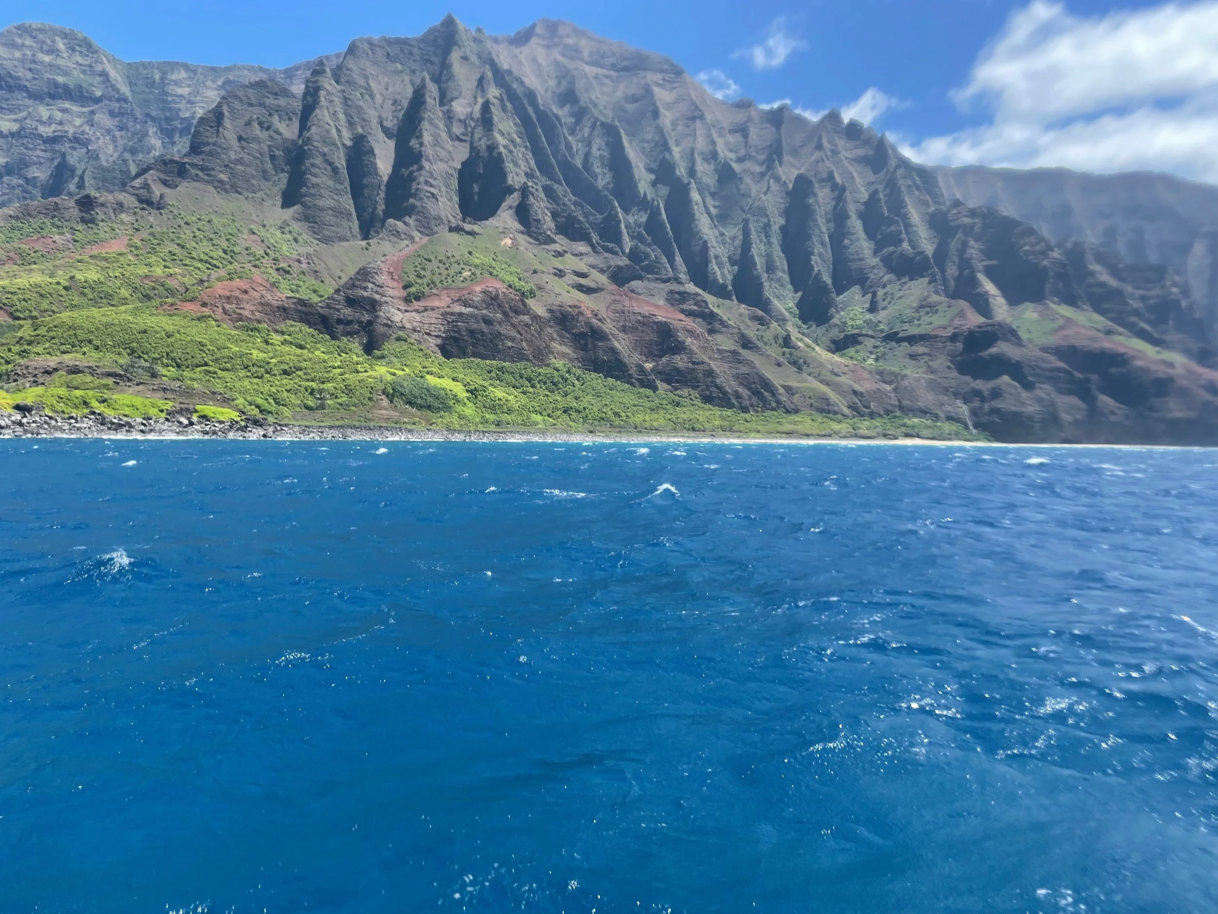 Library - 19 of 24.jpeg