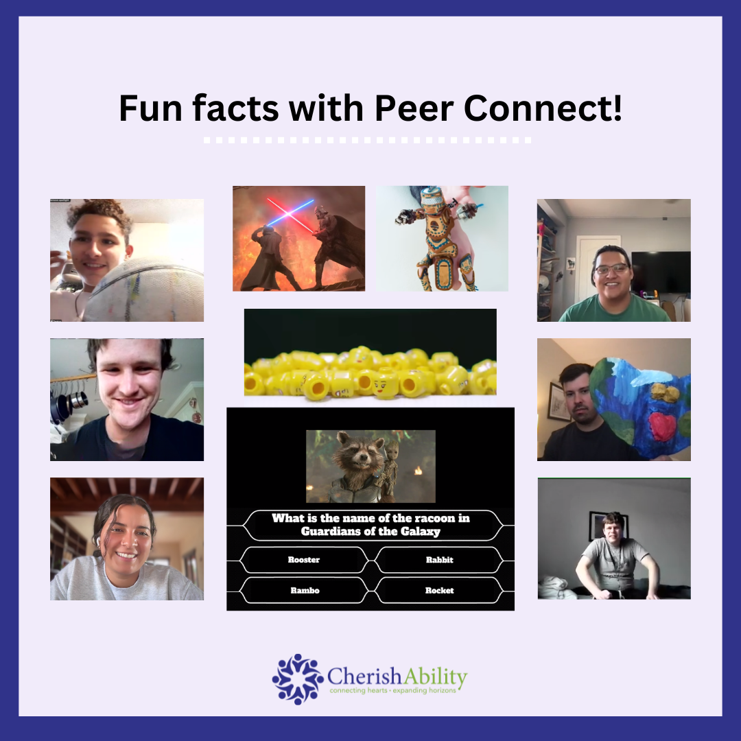 2026 Peer Connect Group 1