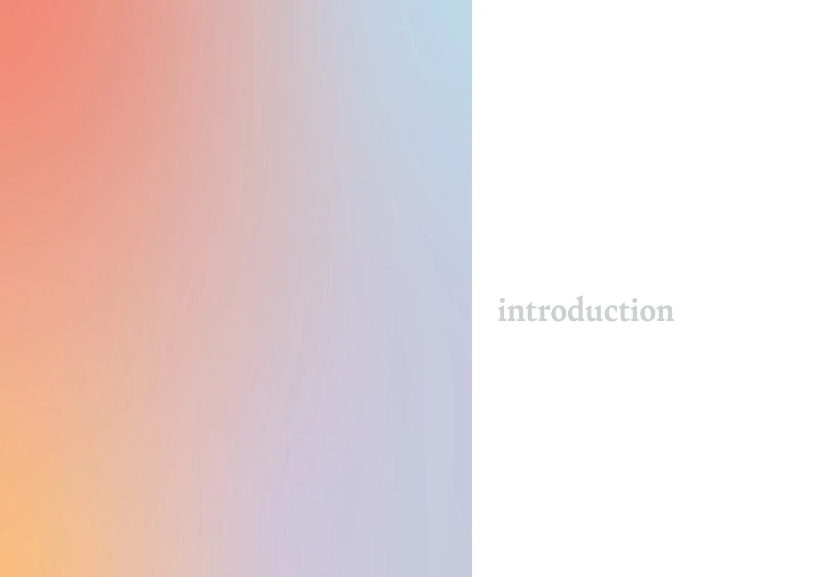 process book - scheer (resized)3.jpg