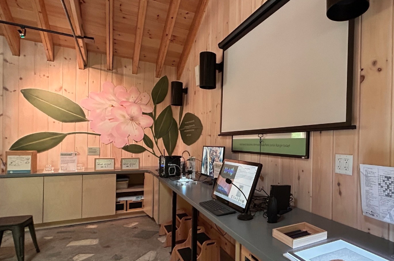 Vinyl Flower Illustation For Groton Nature Center