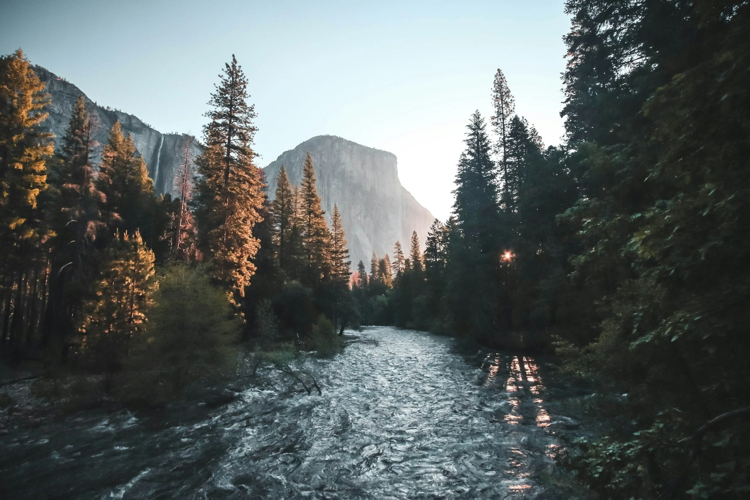 Sunset over a river flowing through a forest with tall pine trees and a mountain in the background.