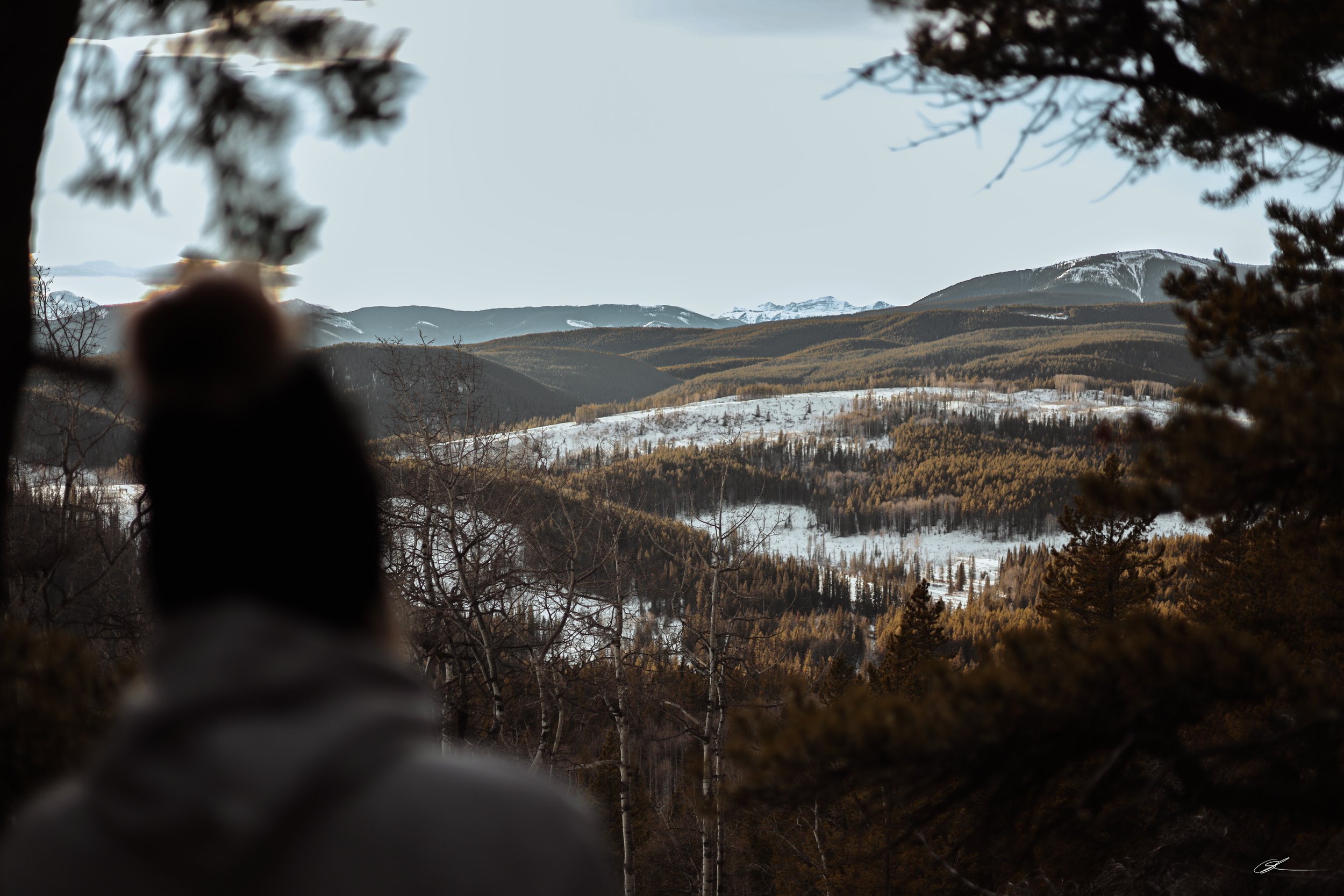 Untitled-0195.jpg