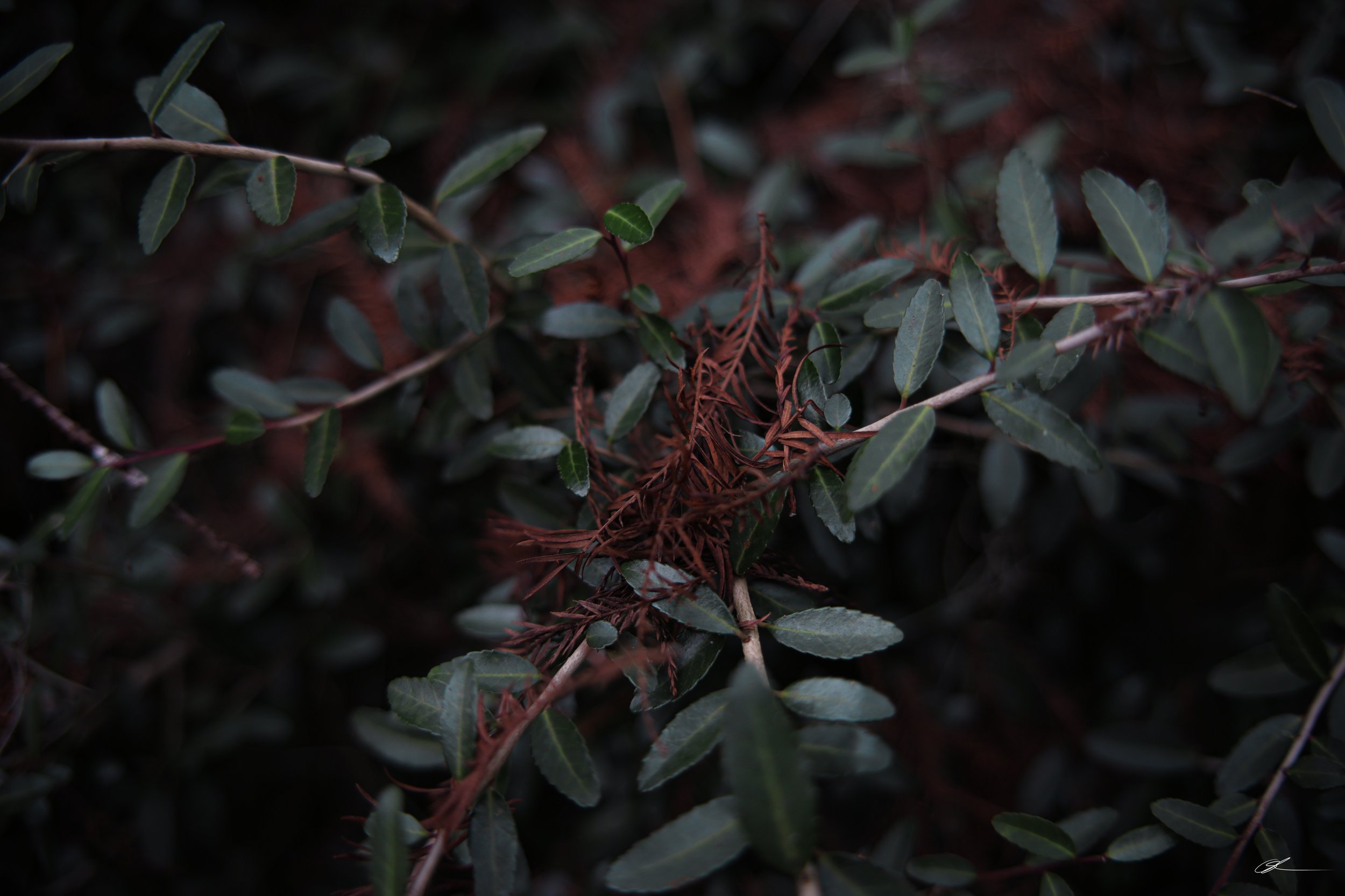 Untitled-1293.jpg