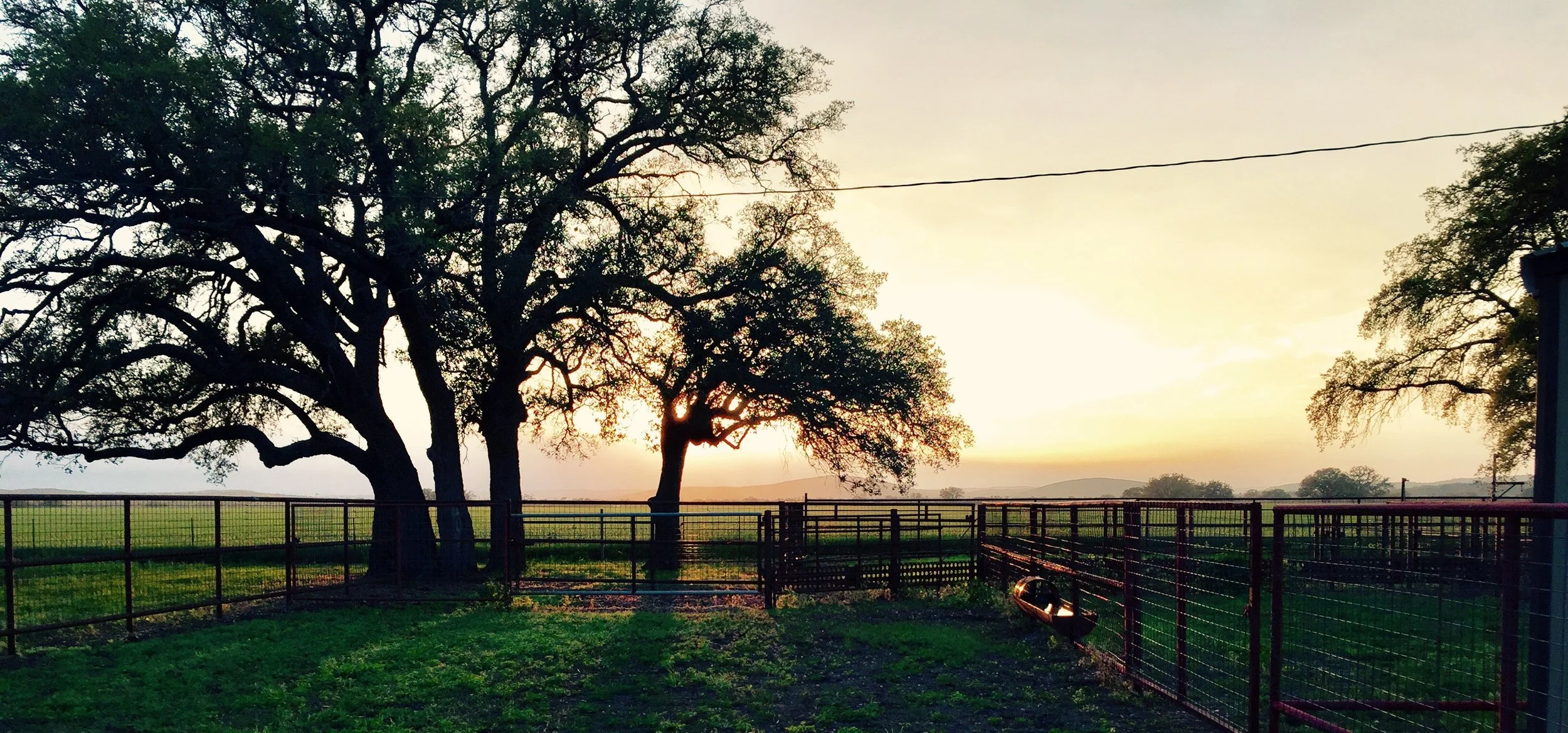 Land For Sale Chapman Ranch at Ronald Kinney blog