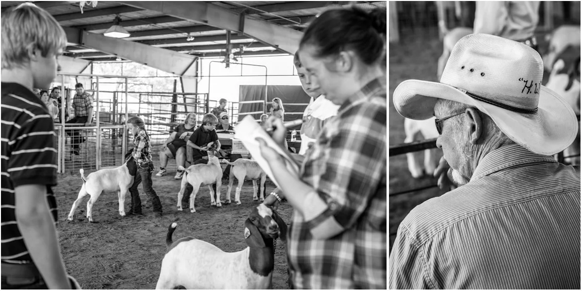 11.16.12_Goat Parade 3.jpg