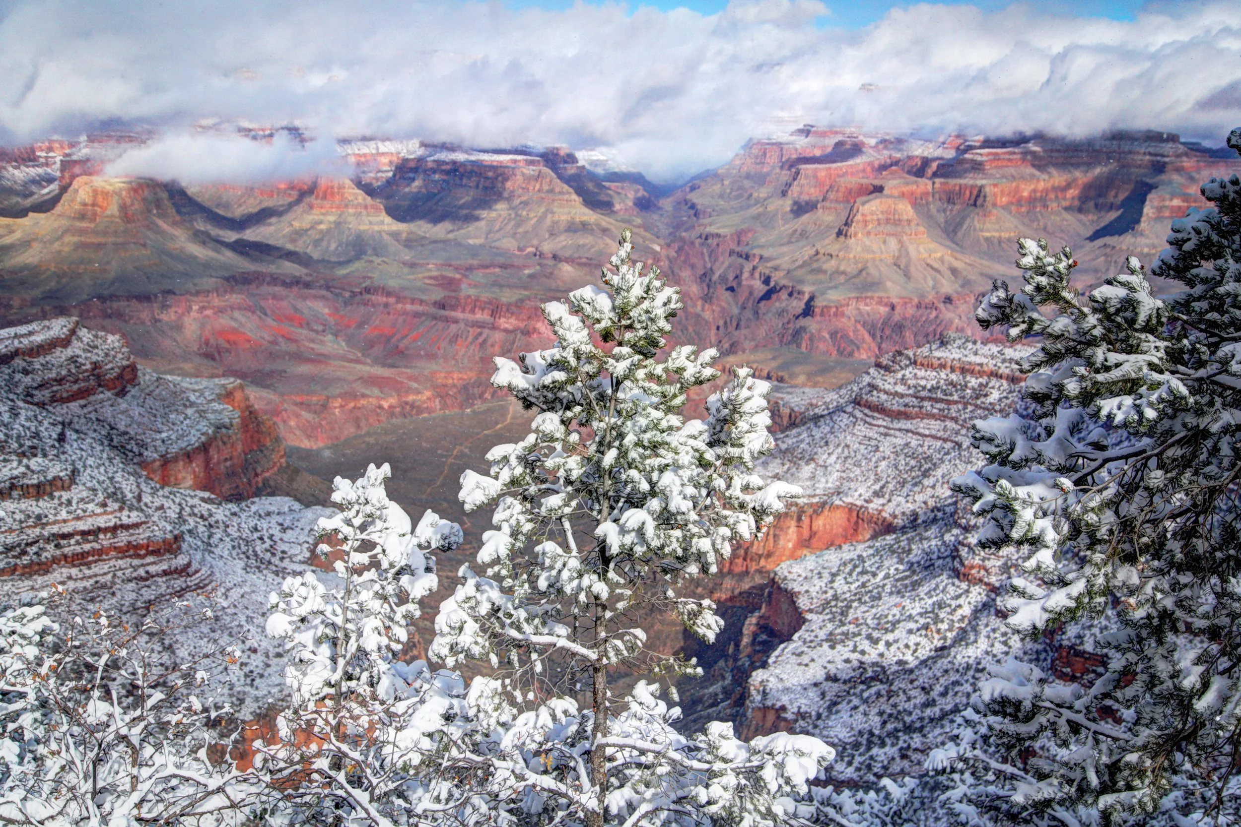 GrandCanyon-29.jpg