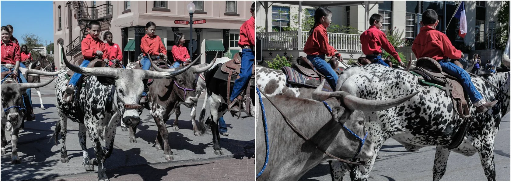 11.13.12_Bullhorns_2 pics.jpg