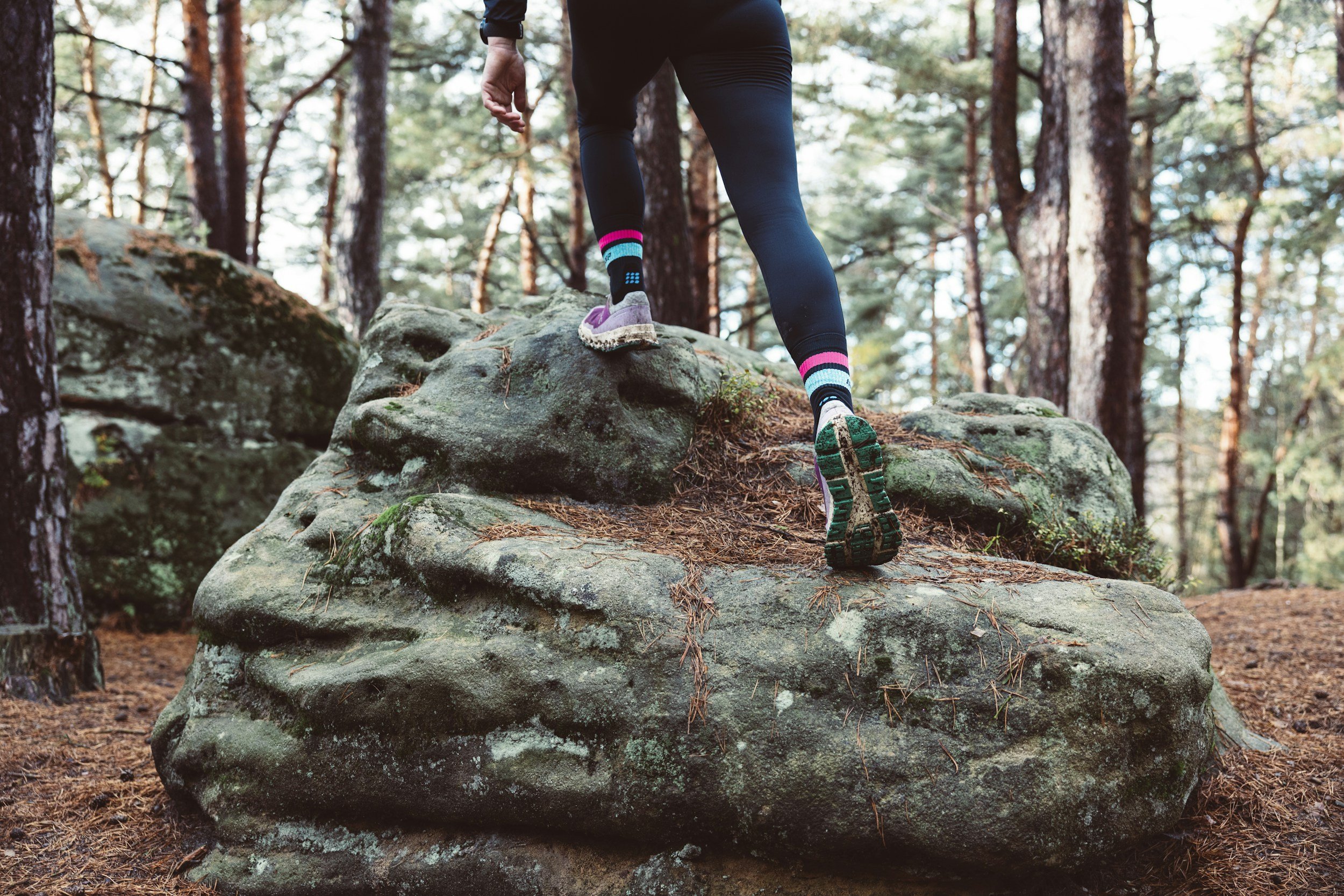Aug. 31 run to kick off Tussey Mountainback’s ‘Discovery Training Series’