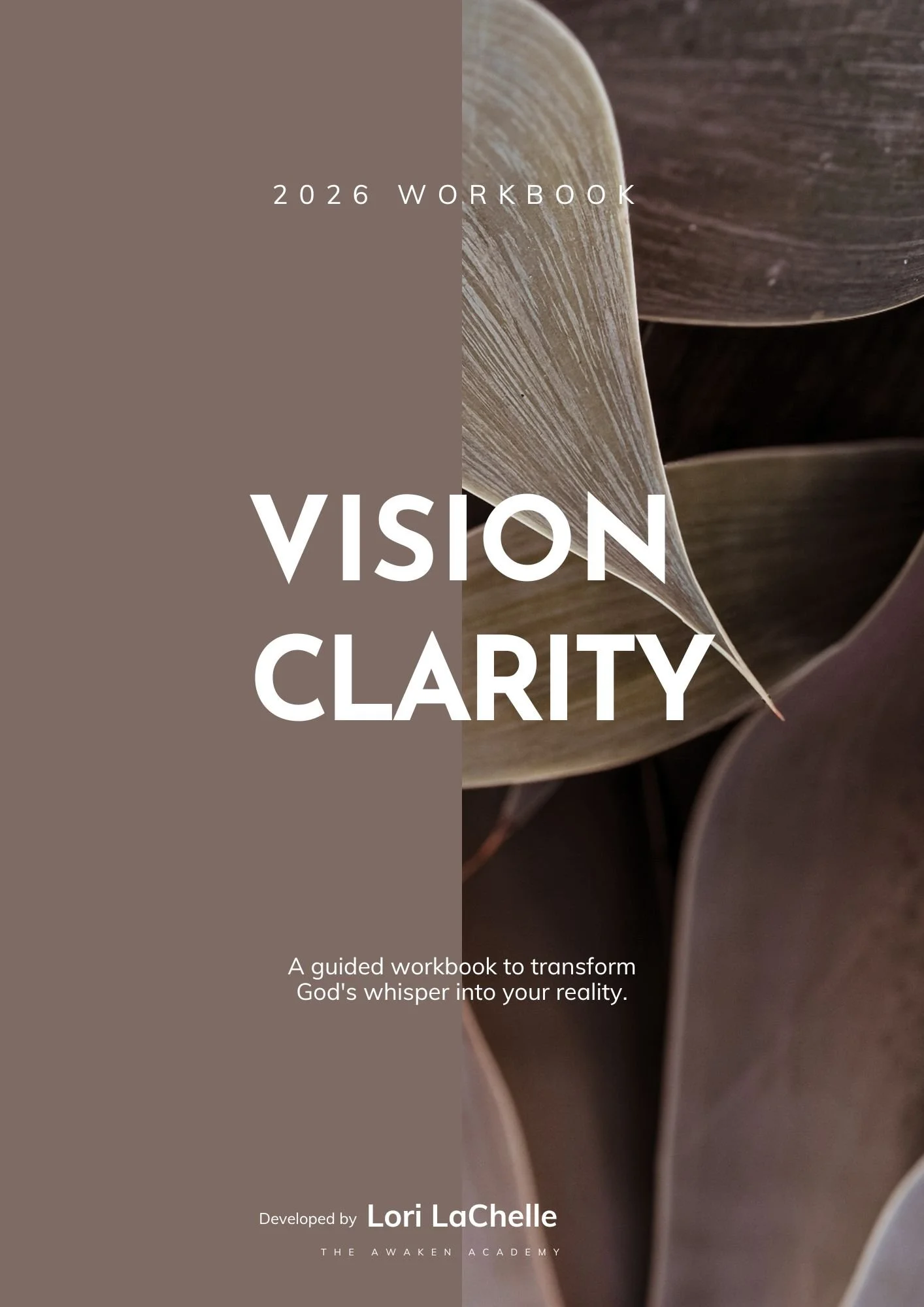 Vision Clarity Workbook