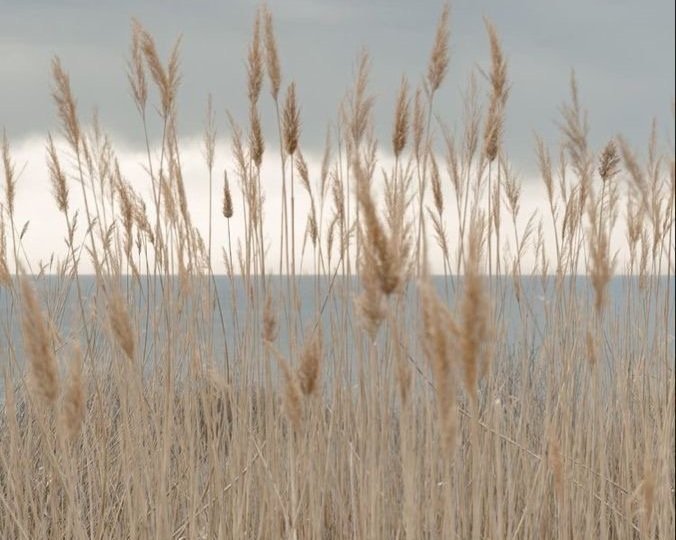 Chapter 9: September