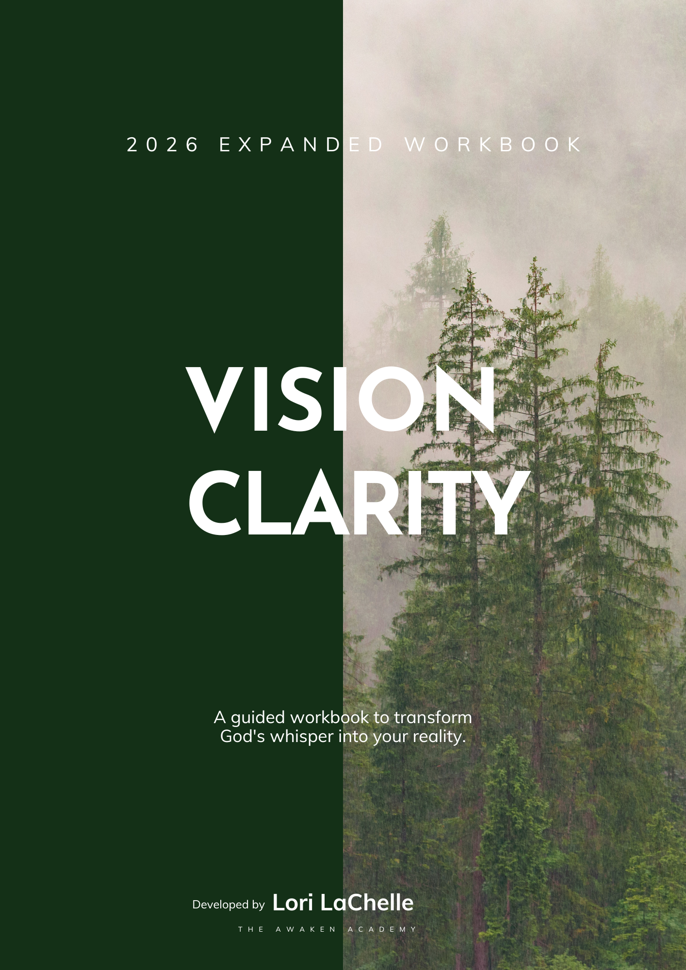 Vision Clarity Workbook - Expanded Edition