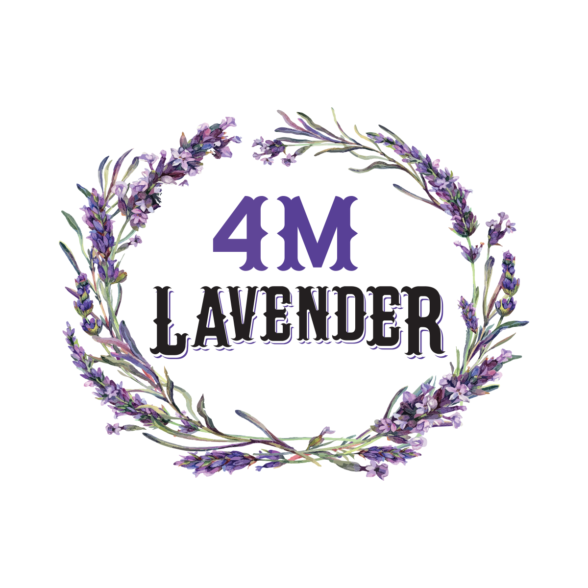 4M Lavender 