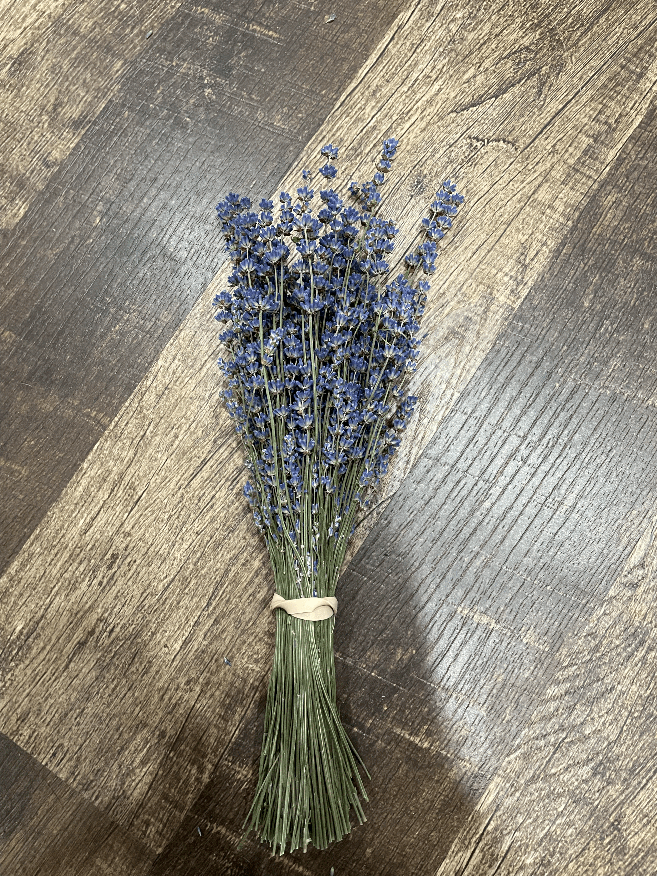 Dried Lavender Bundle - Short Stem