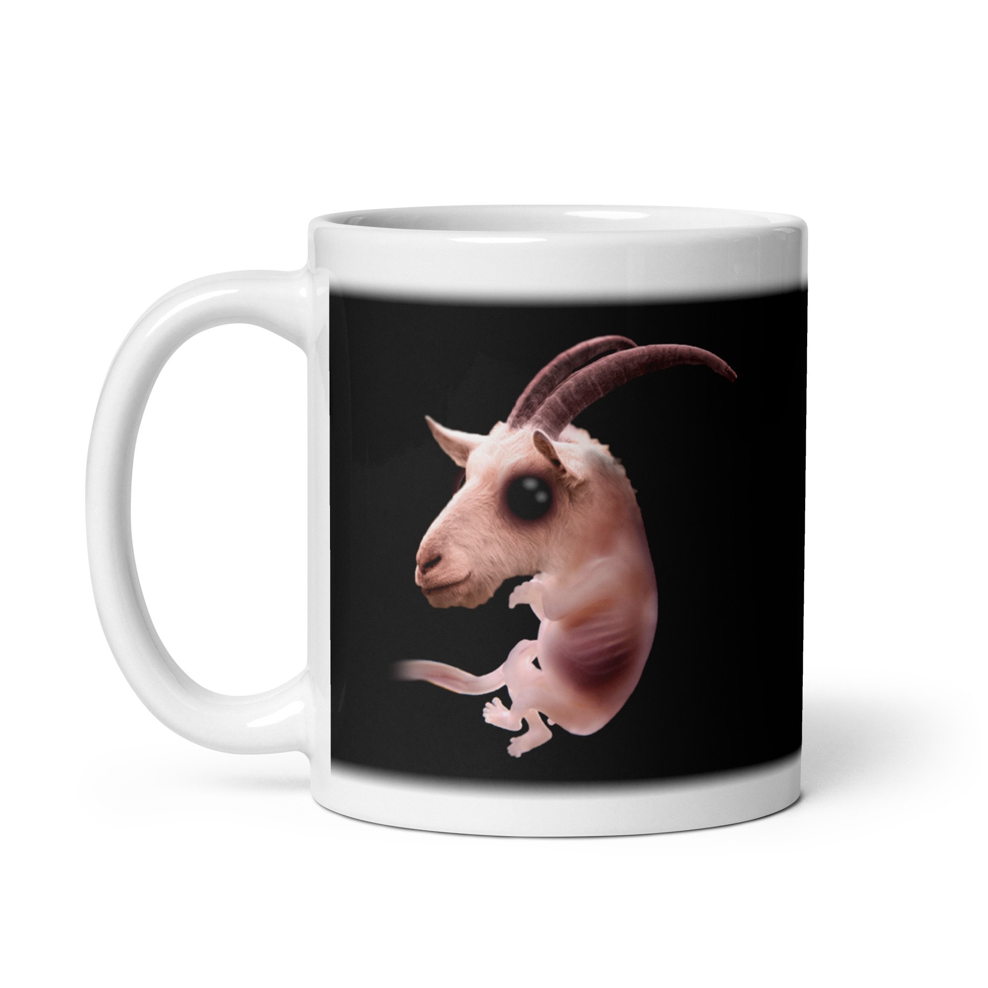white-glossy-mug-white-11-oz-handle-on-left-656802cbe5230.jpg
