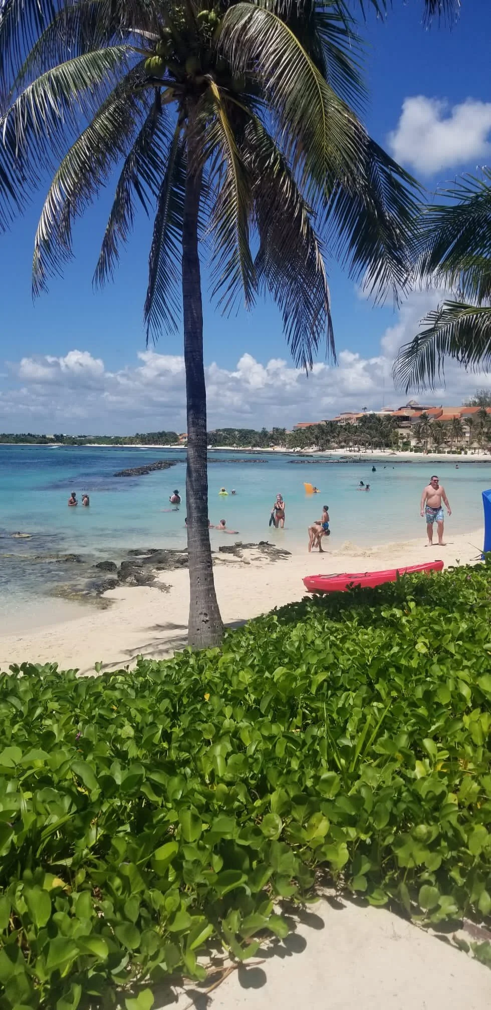 An American Living in Mexico: The Why and the How