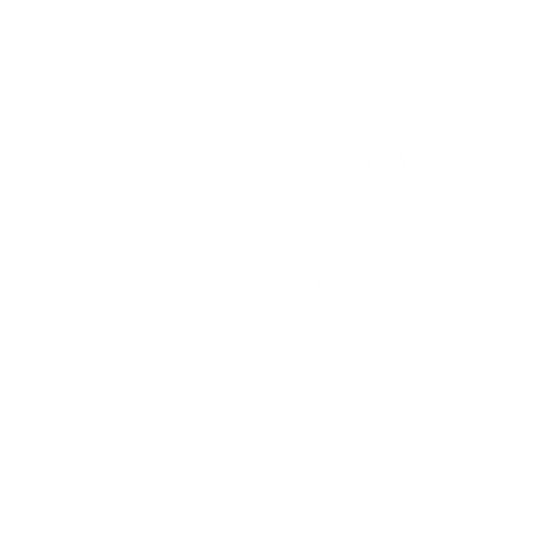 comfort counseling 