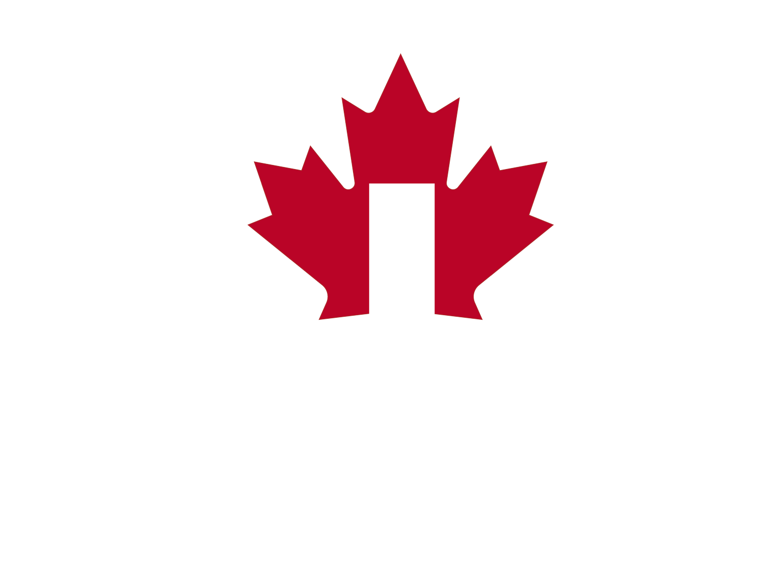 AIS Immigration Consulting