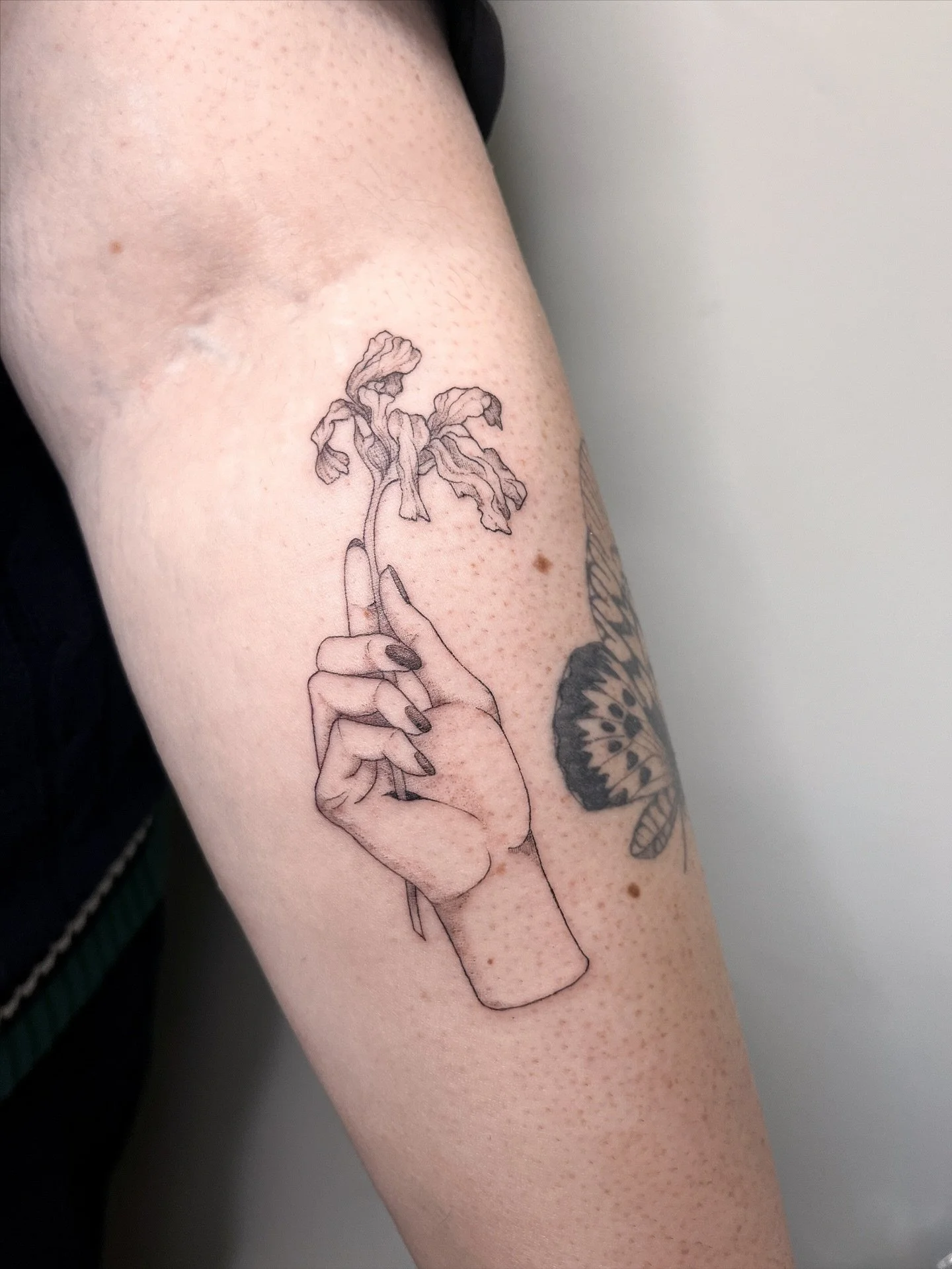 This flash piece finally found its forever home and I couldn&rsquo;t love it more in this client! 
#finelinetattoo #illustrativetattoo #geelongtattoostudio #geelongtattooartist